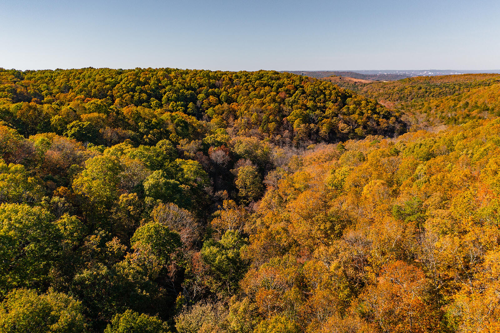 Photo 10 - Land for sale – 000  State Highway Jj   Hollister, MO