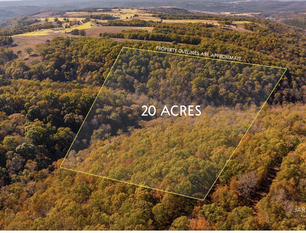Land for sale – 000  State Highway Jj   Hollister, MO