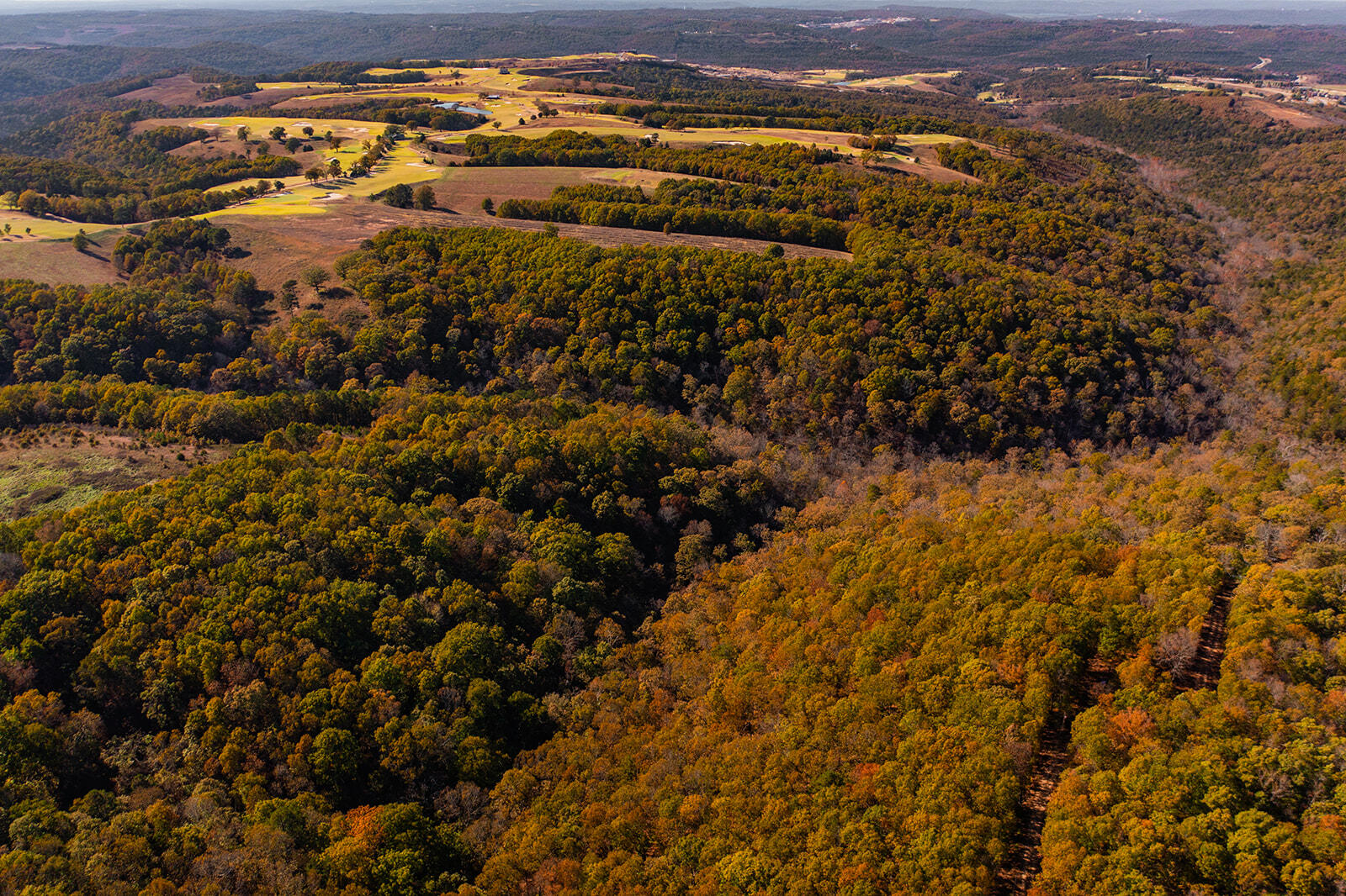 Photo 5 - Land for sale – 000  State Highway Jj   Hollister, MO
