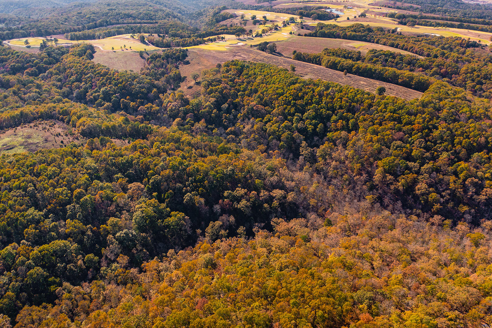 Photo 4 - Land for sale – 000  State Highway Jj   Hollister, MO