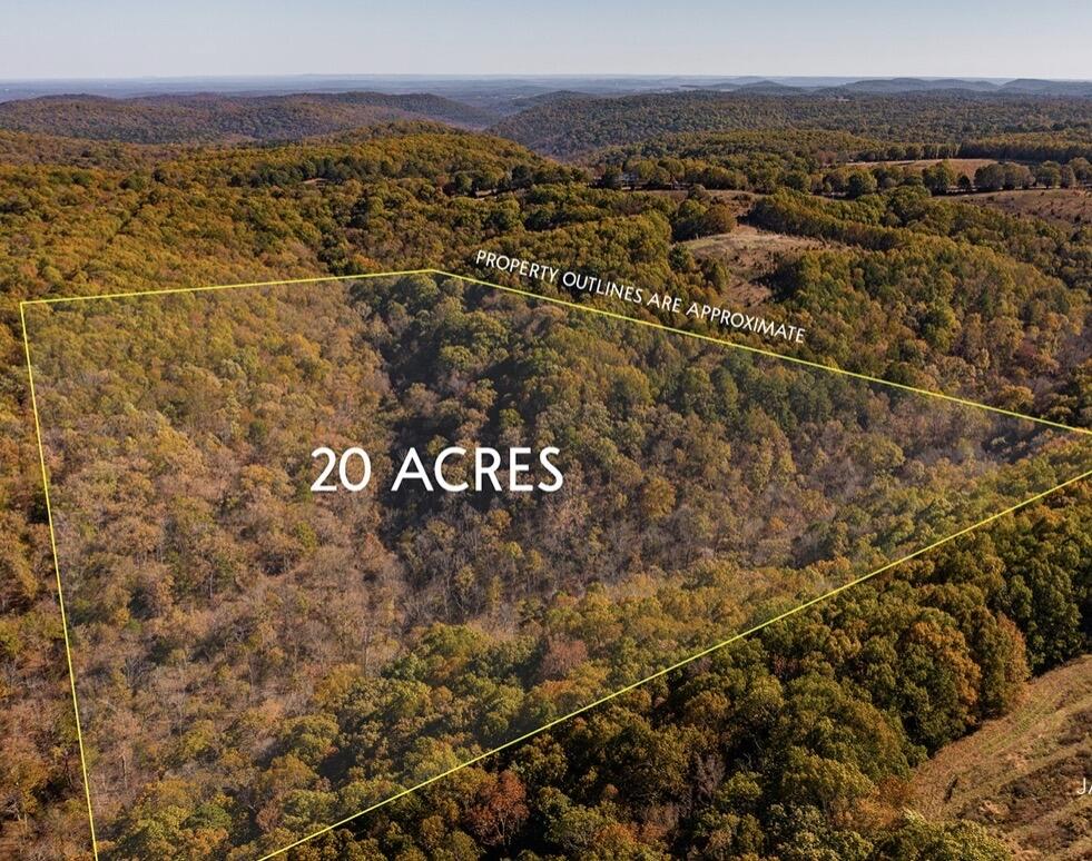Photo 2 - Land for sale – 000  State Highway Jj   Hollister, MO