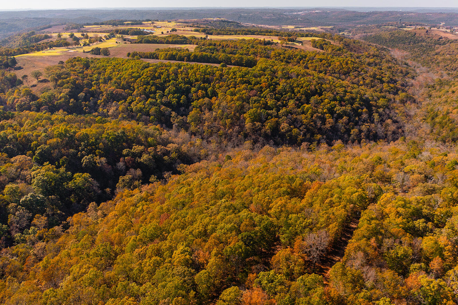 Photo 9 - Land for sale – 000  State Highway Jj   Hollister, MO