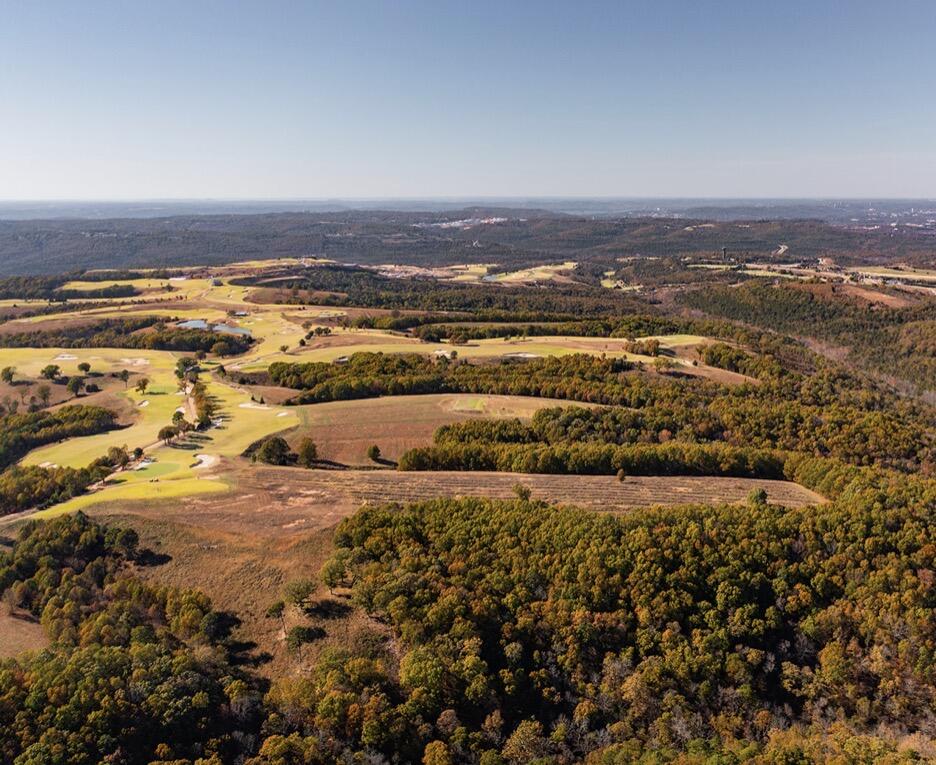 Photo 12 - Land for sale – 000  State Highway Jj   Hollister, MO