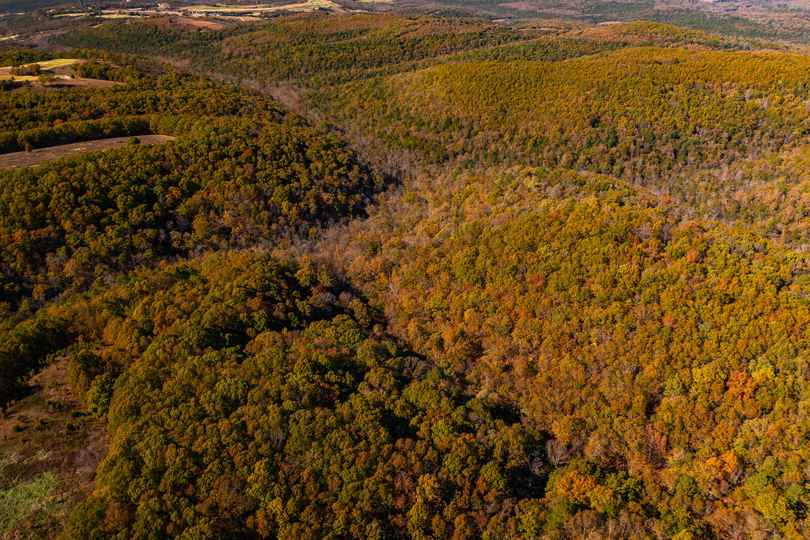 Photo 6 - Land for sale – 000  State Highway Jj   Hollister, MO