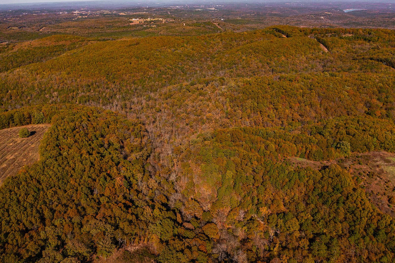 Photo 7 - Land for sale – 000  State Highway Jj   Hollister, MO