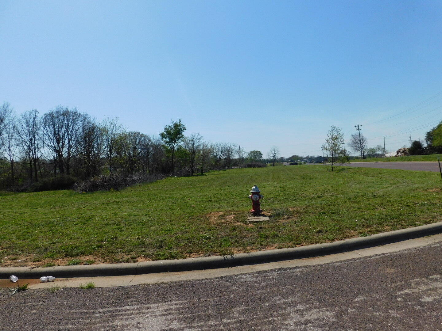 Photo 2 - Land for sale – 000 E Wellington Avenue  Monett, MO