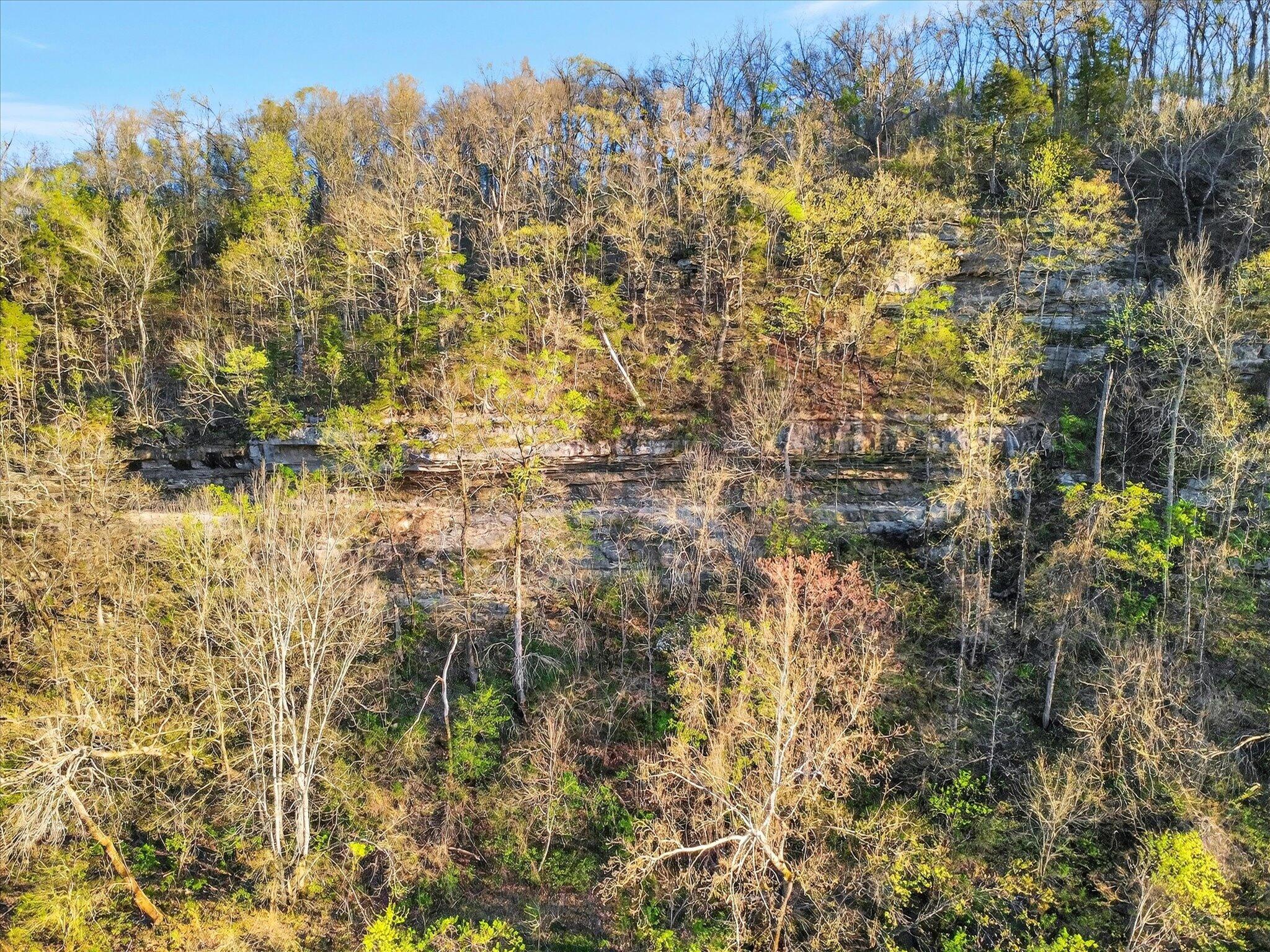 Photo 79 - Land for sale – 1211  Cox Ford Road  Crane, MO