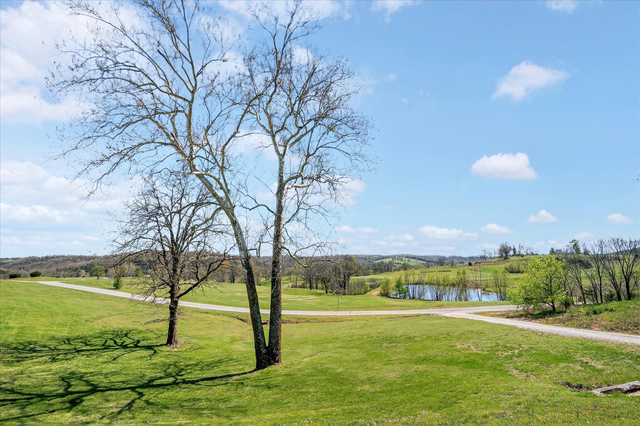 Photo 23 - Land for sale – 1211  Cox Ford Road  Crane, MO