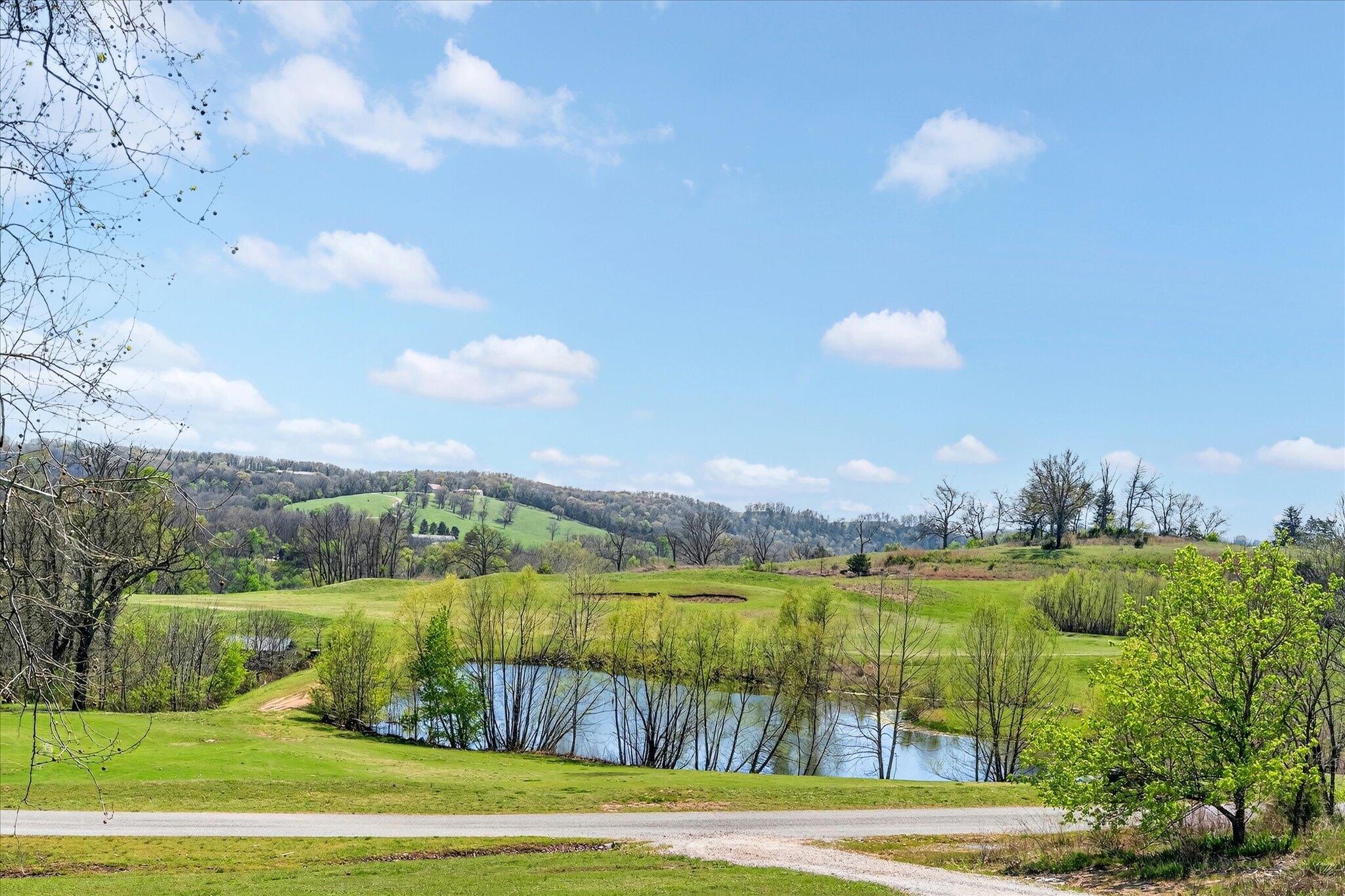 Photo 3 - Land for sale – 1211  Cox Ford Road  Crane, MO