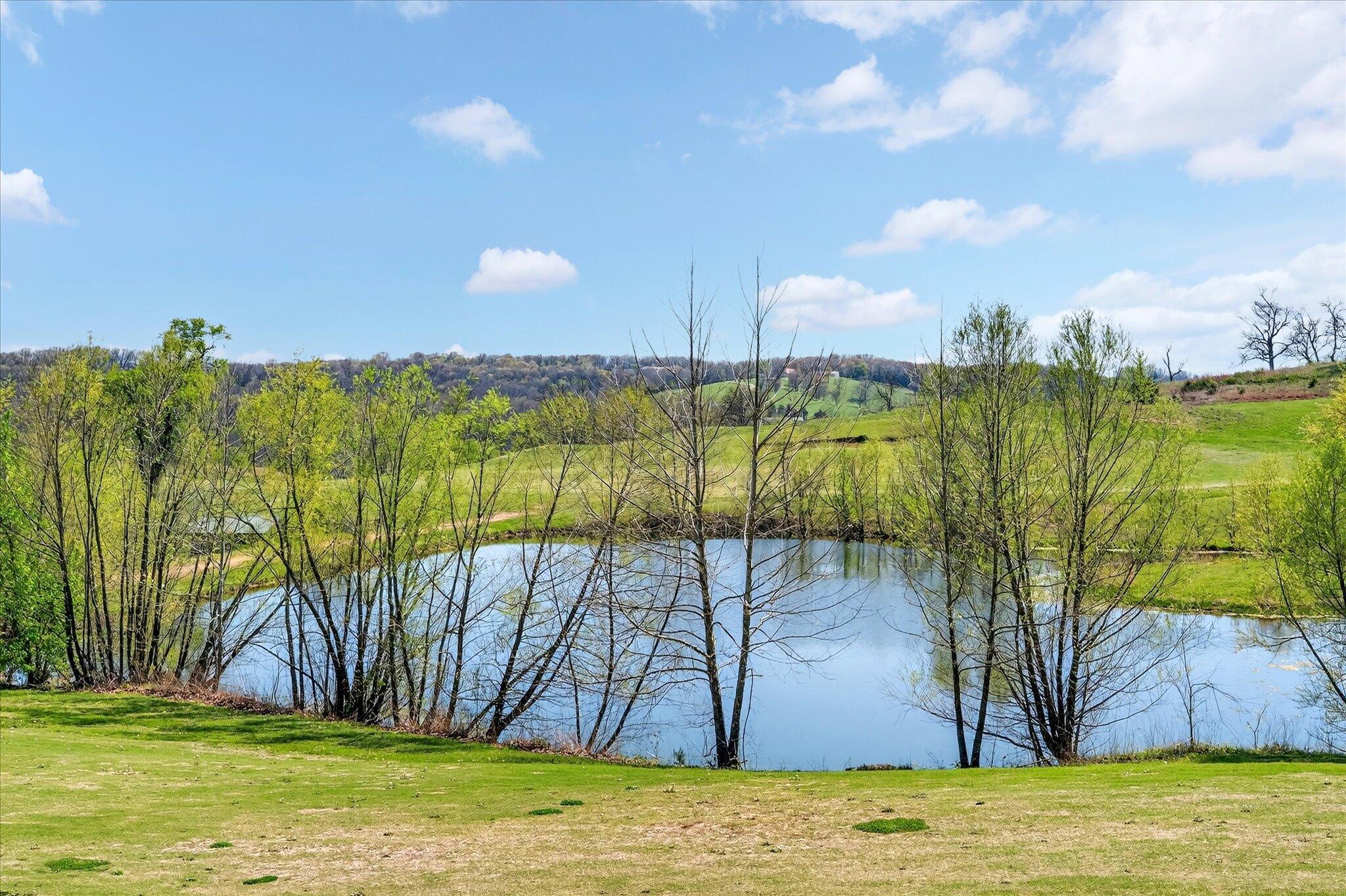 Photo 29 - Land for sale – 1211  Cox Ford Road  Crane, MO