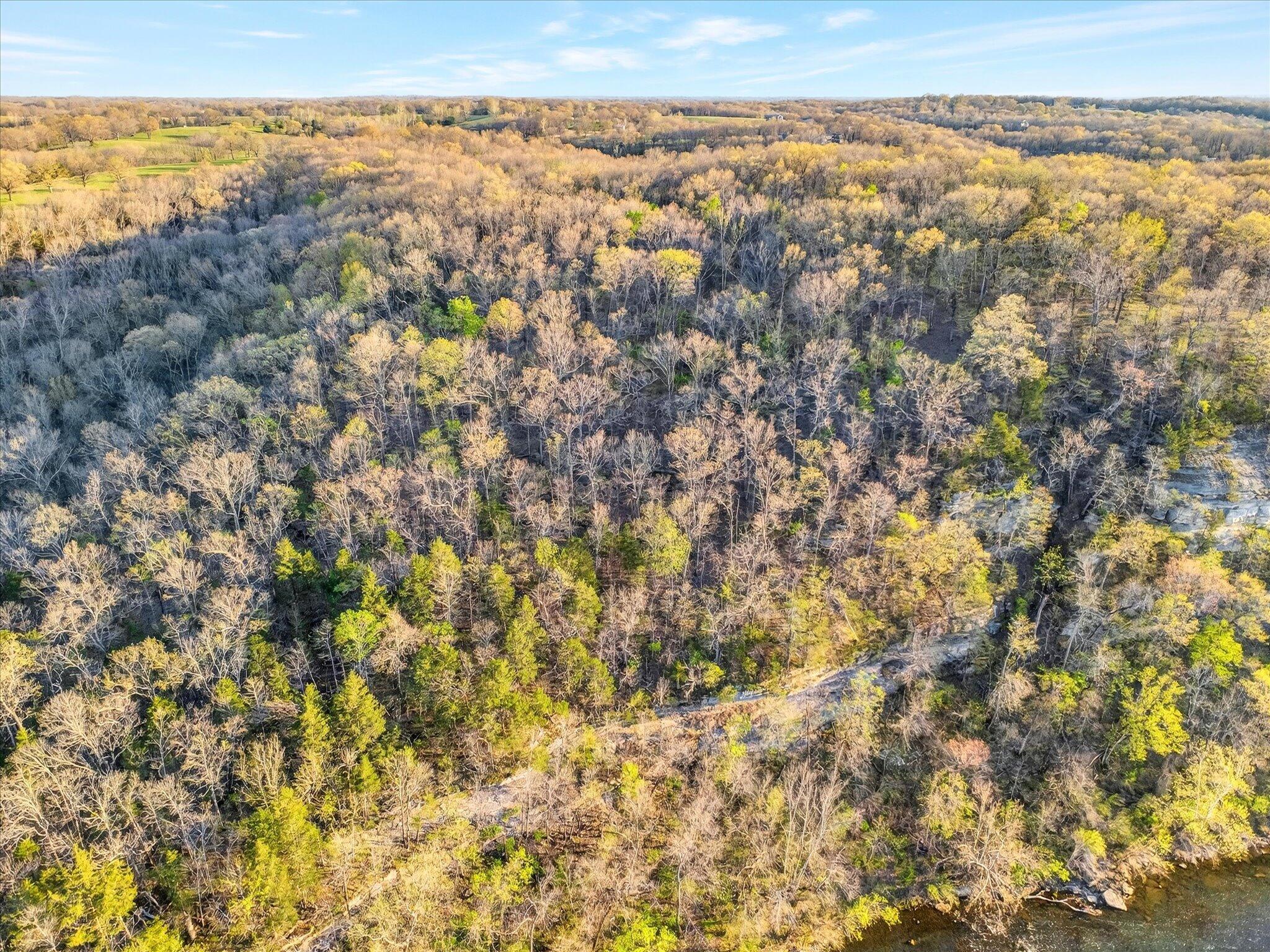 Photo 88 - Land for sale – 1211  Cox Ford Road  Crane, MO