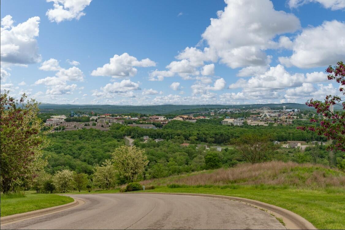 Photo 112 - Residential for sale – 2914  Vineyards Parkway  Branson, MO