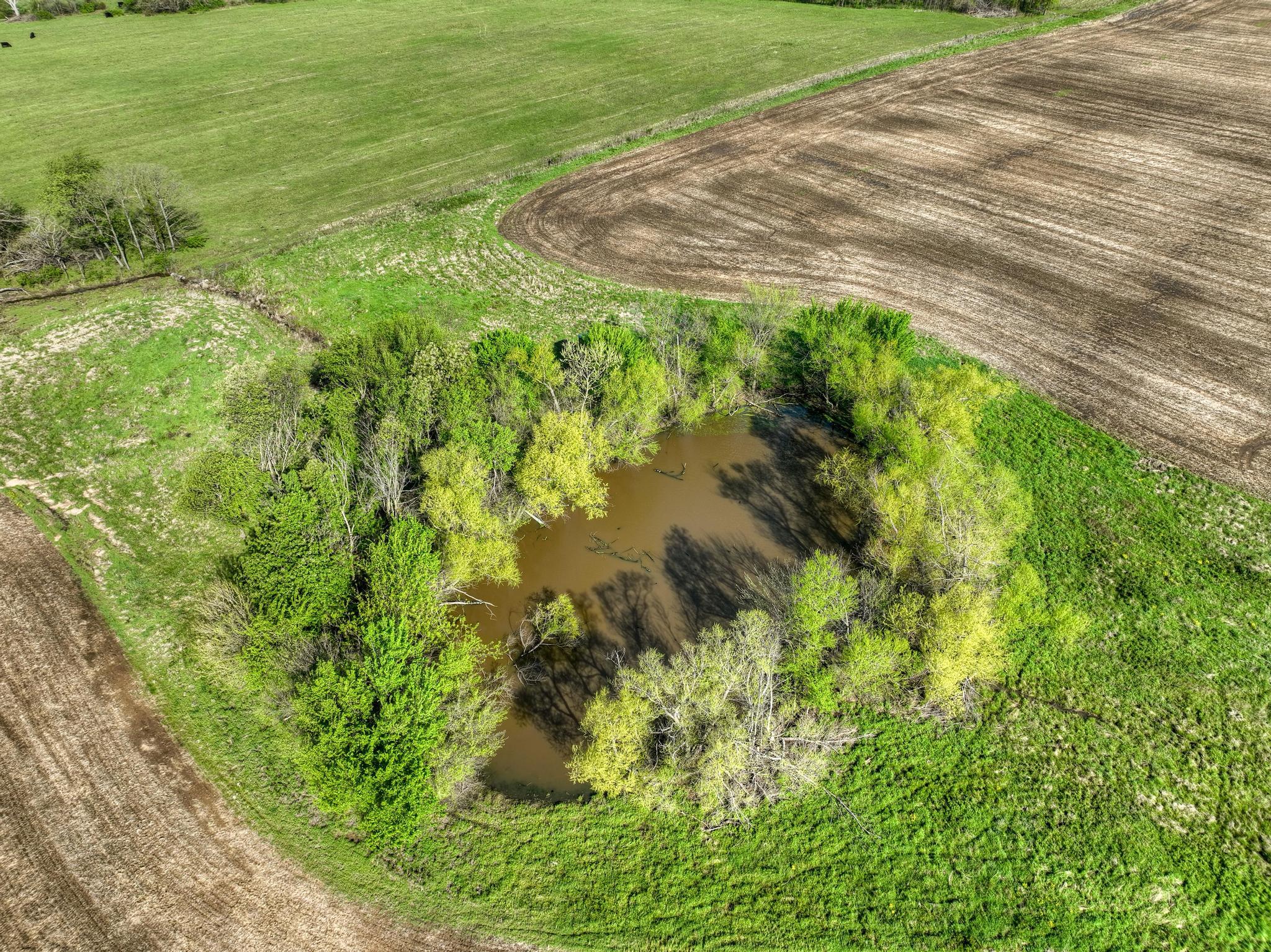 Photo 6 - Farm for sale – 401 NW 1st Lane  Lamar, MO