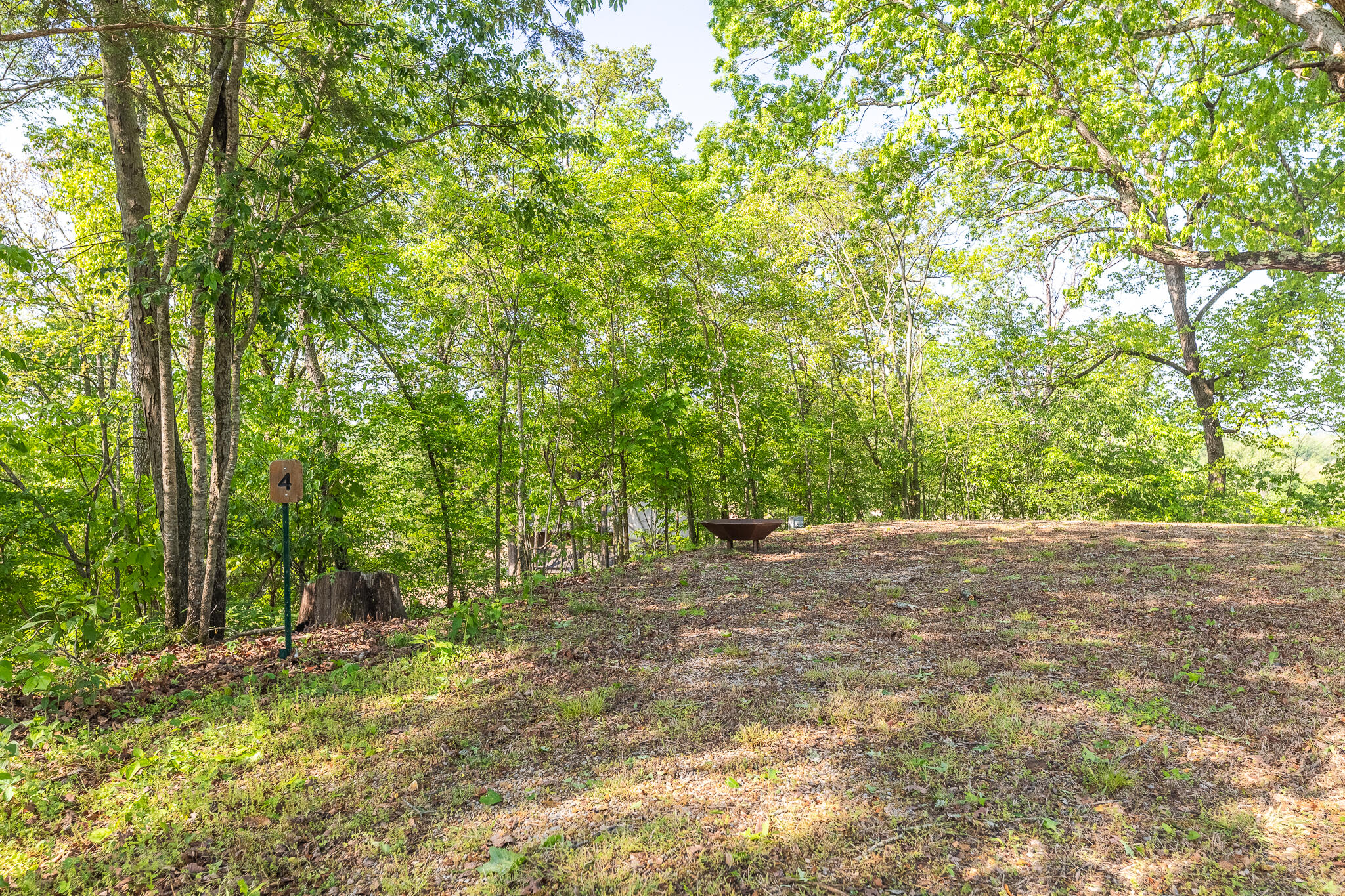 Photo 13 - Land for sale – Lot 6,7,8  Walleye Lane  Doniphan, MO