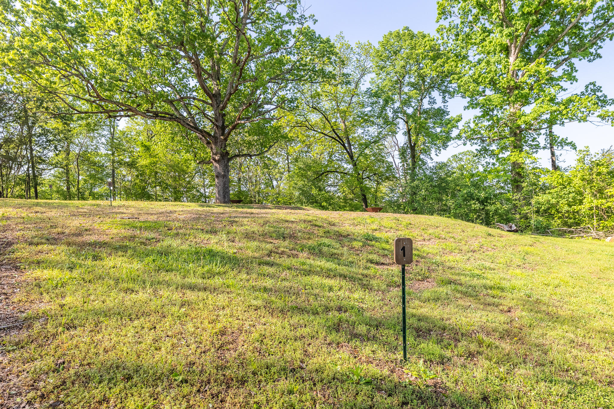 Photo 7 - Land for sale – Lot 6,7,8  Walleye Lane  Doniphan, MO