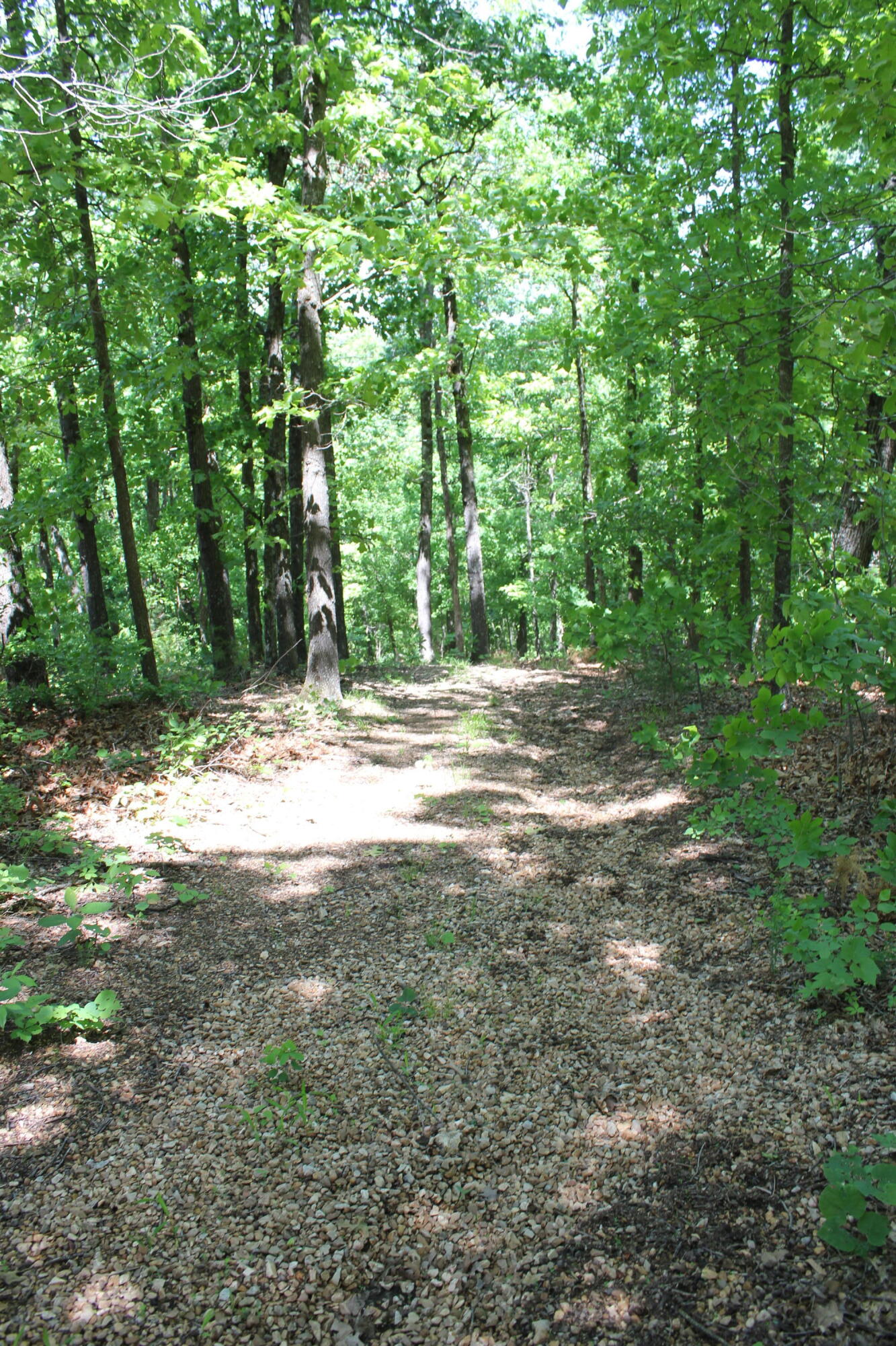 Photo 13 - Land for sale – 000  Mckenzie Court  Lampe, MO