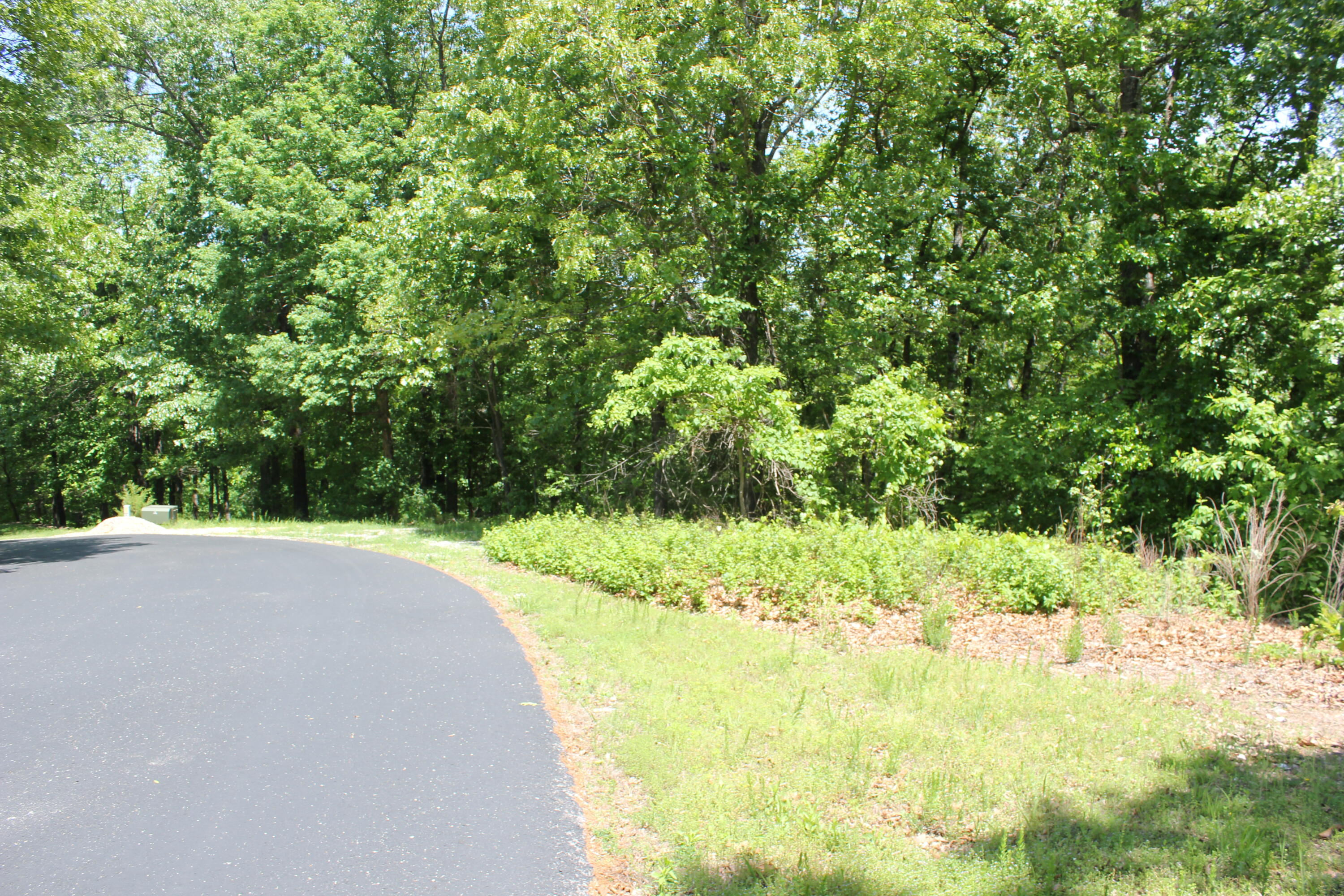 Photo 16 - Land for sale – 000  Mckenzie Court  Lampe, MO