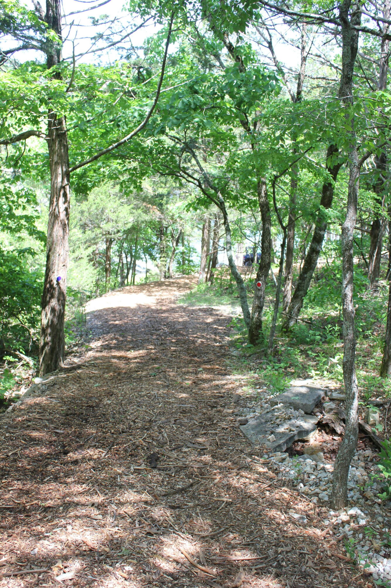 Photo 17 - Land for sale – 000  Mckenzie Court  Lampe, MO