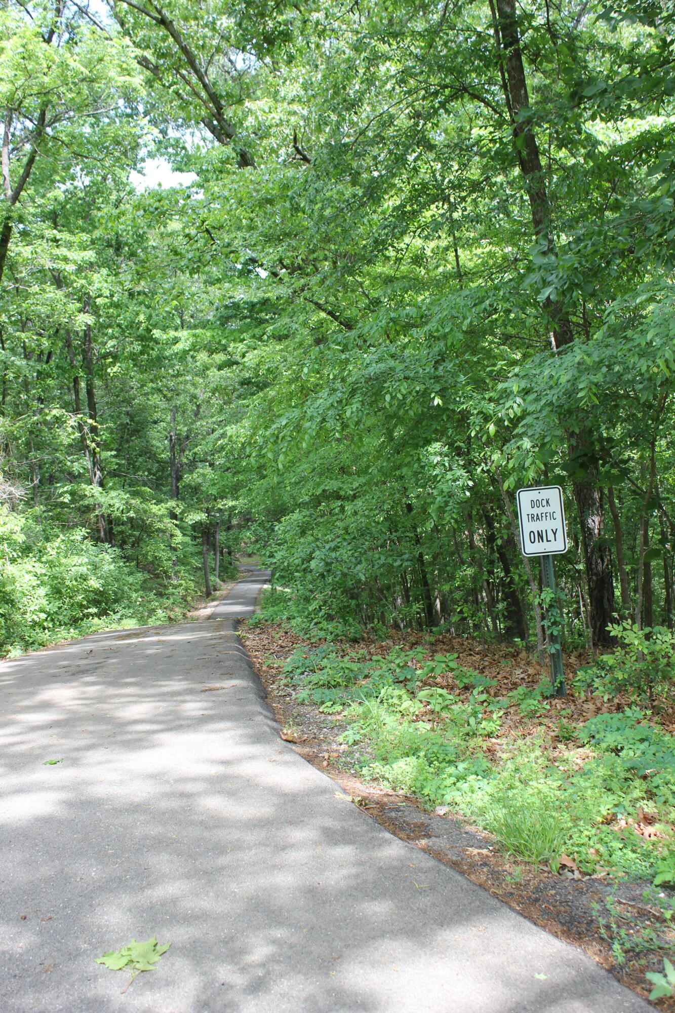 Photo 25 - Land for sale – 000  Mckenzie Court  Lampe, MO