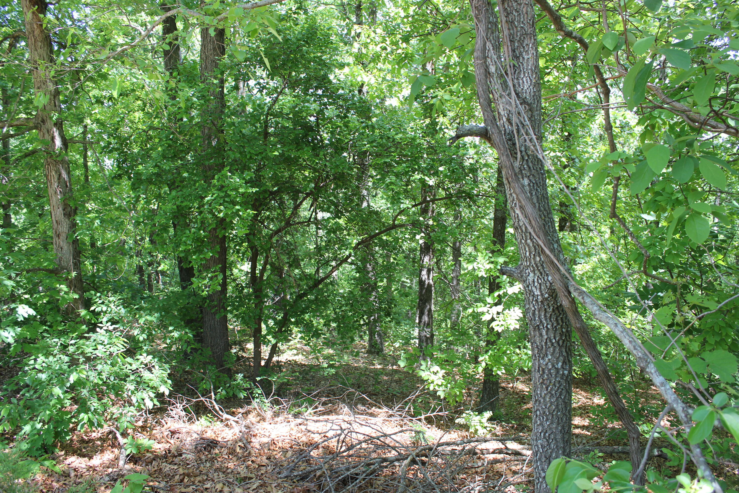 Photo 12 - Land for sale – 000  Mckenzie Court  Lampe, MO