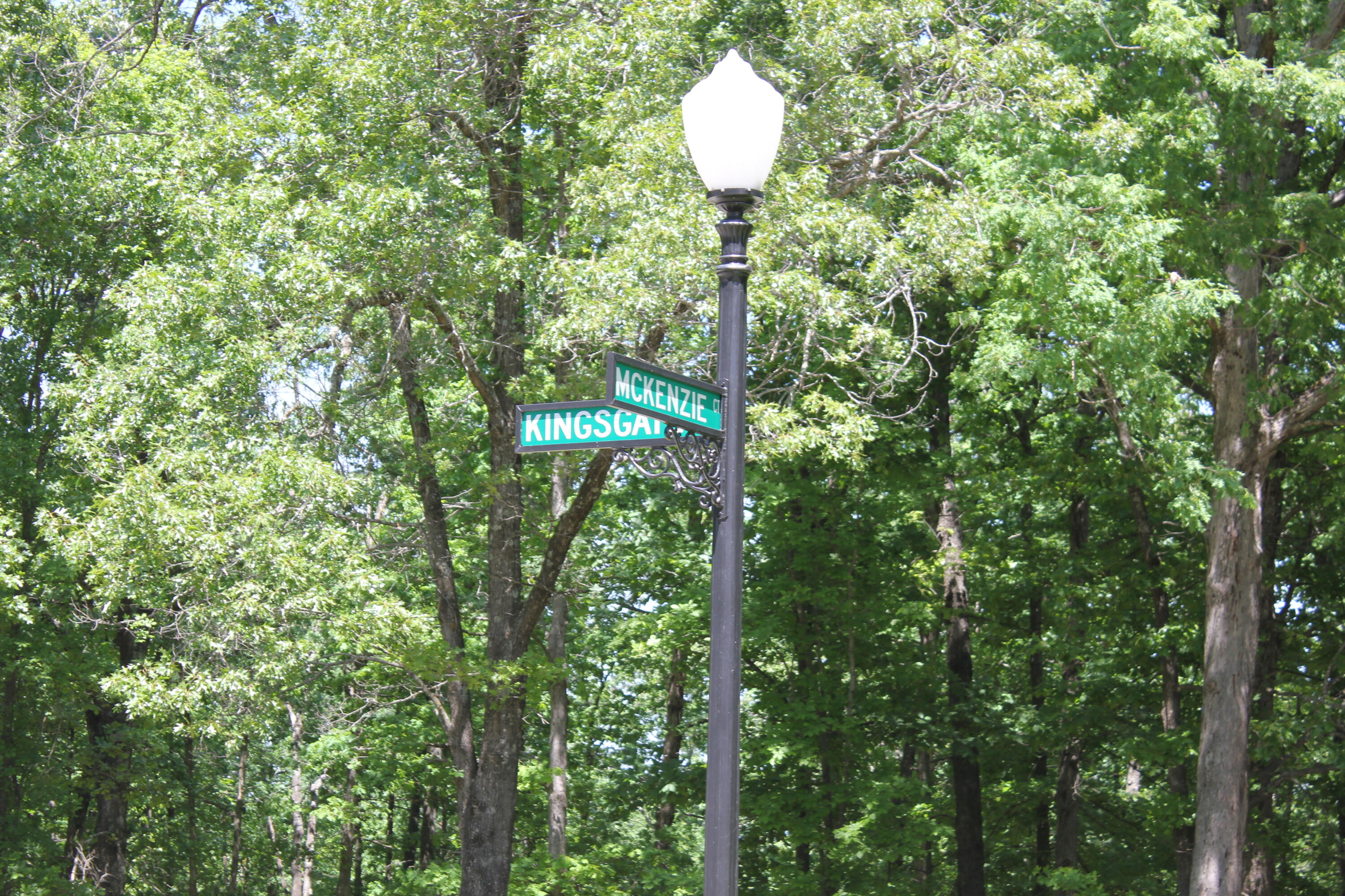 Photo 9 - Land for sale – 000  Mckenzie Court  Lampe, MO
