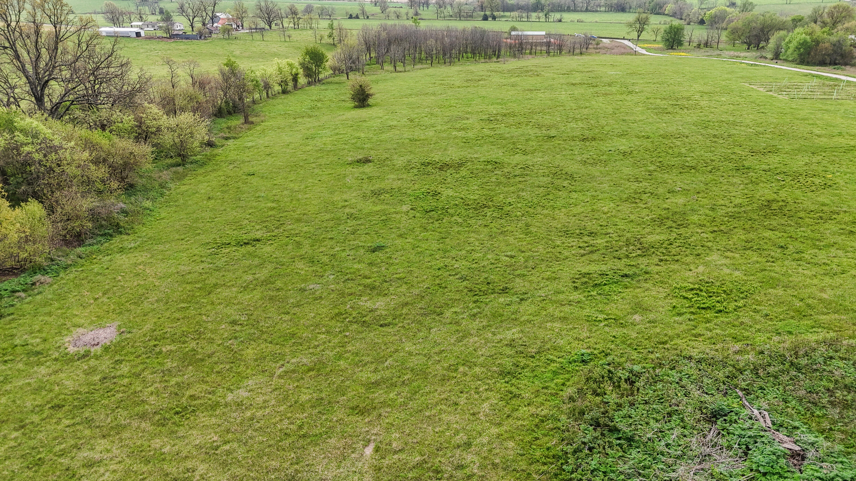 Photo 2 - Land for sale – 6678  Farm Road 2140   Exeter, MO
