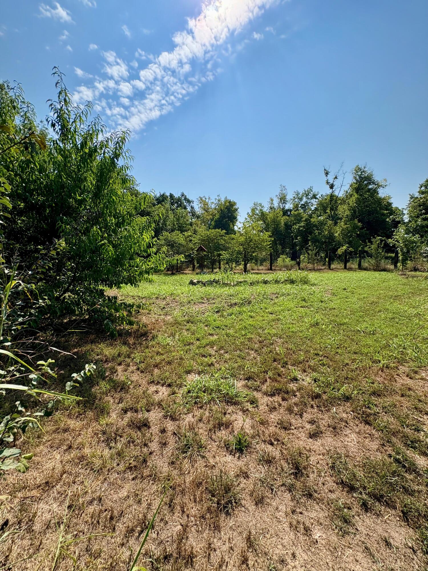 Photo 22 - Land for sale – 18284 1&B  Gazelle Drive  Neosho, MO