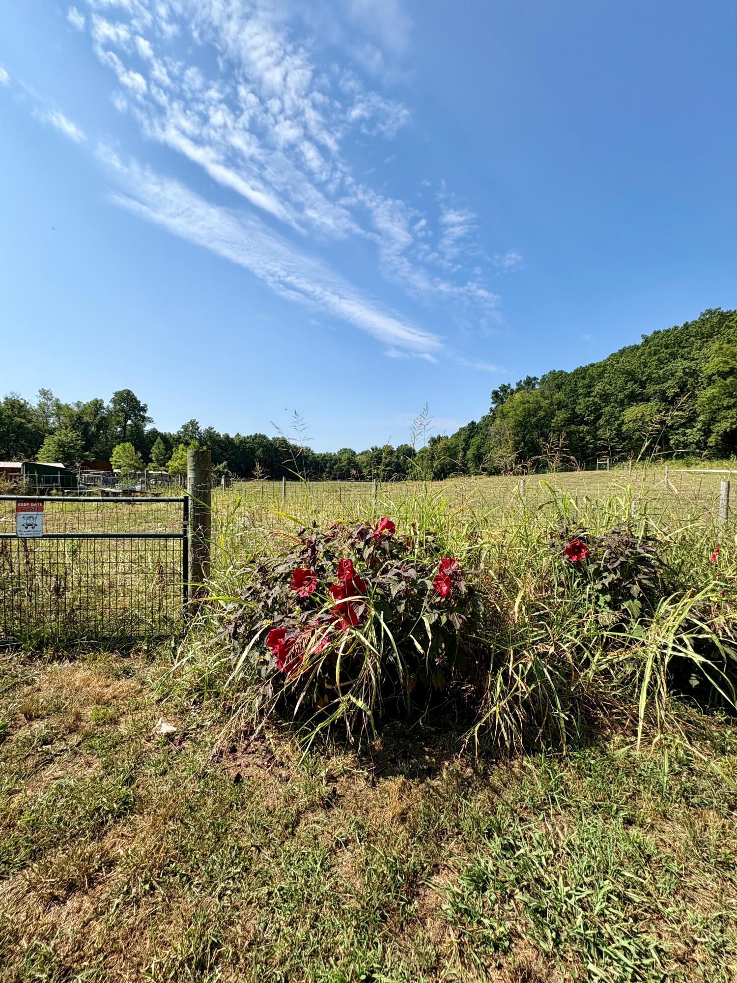 Photo 7 - Land for sale – 18284 1&B  Gazelle Drive  Neosho, MO