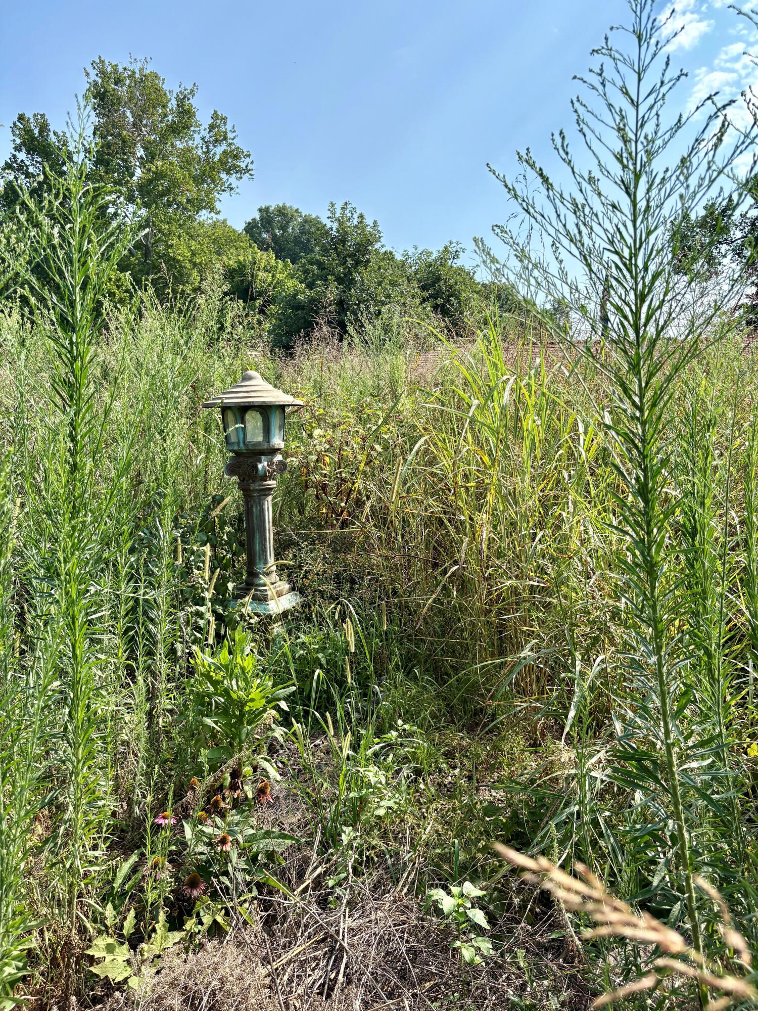 Photo 23 - Land for sale – 18284 1&B  Gazelle Drive  Neosho, MO