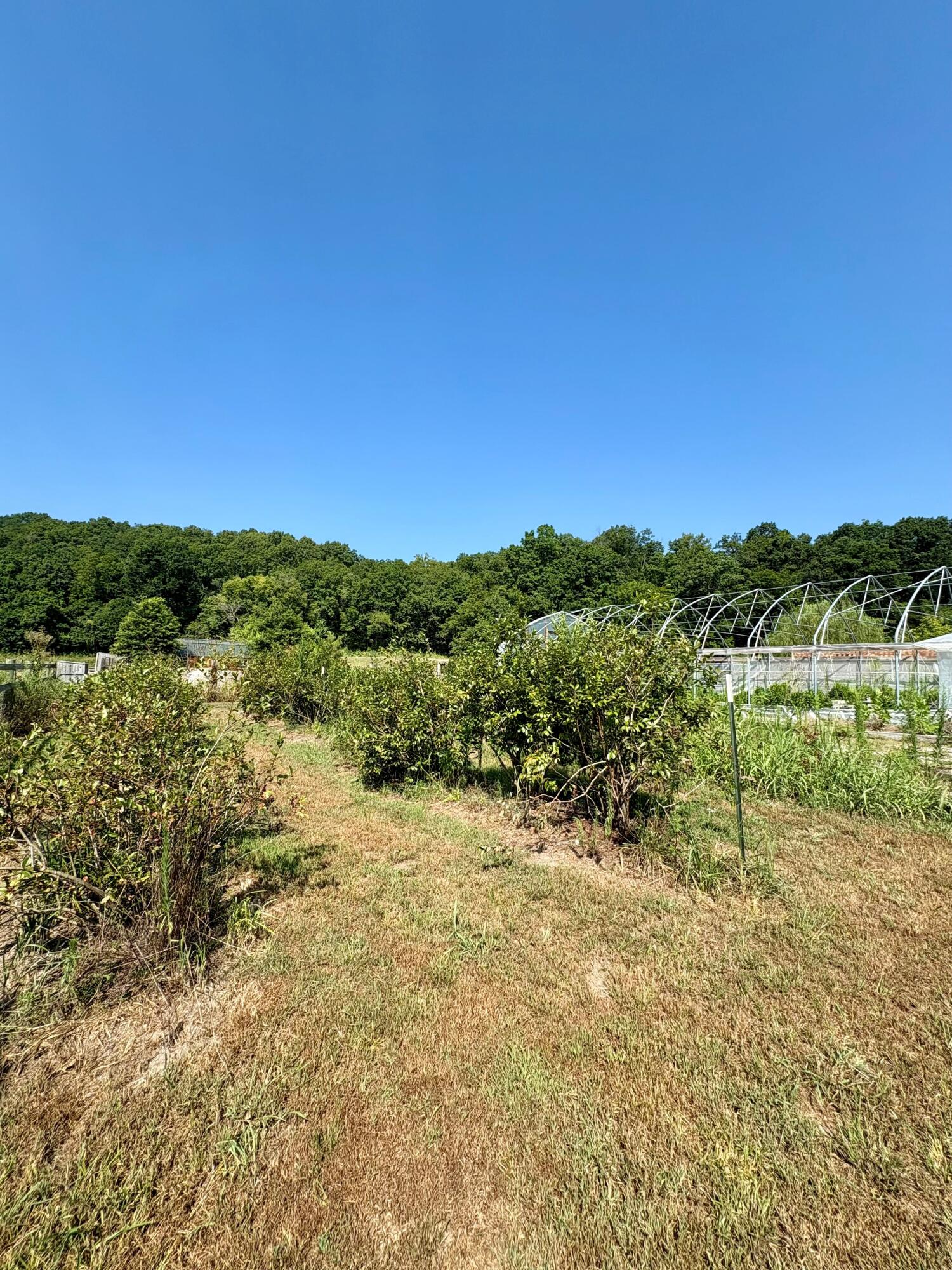 Photo 20 - Land for sale – 18284 1&B  Gazelle Drive  Neosho, MO