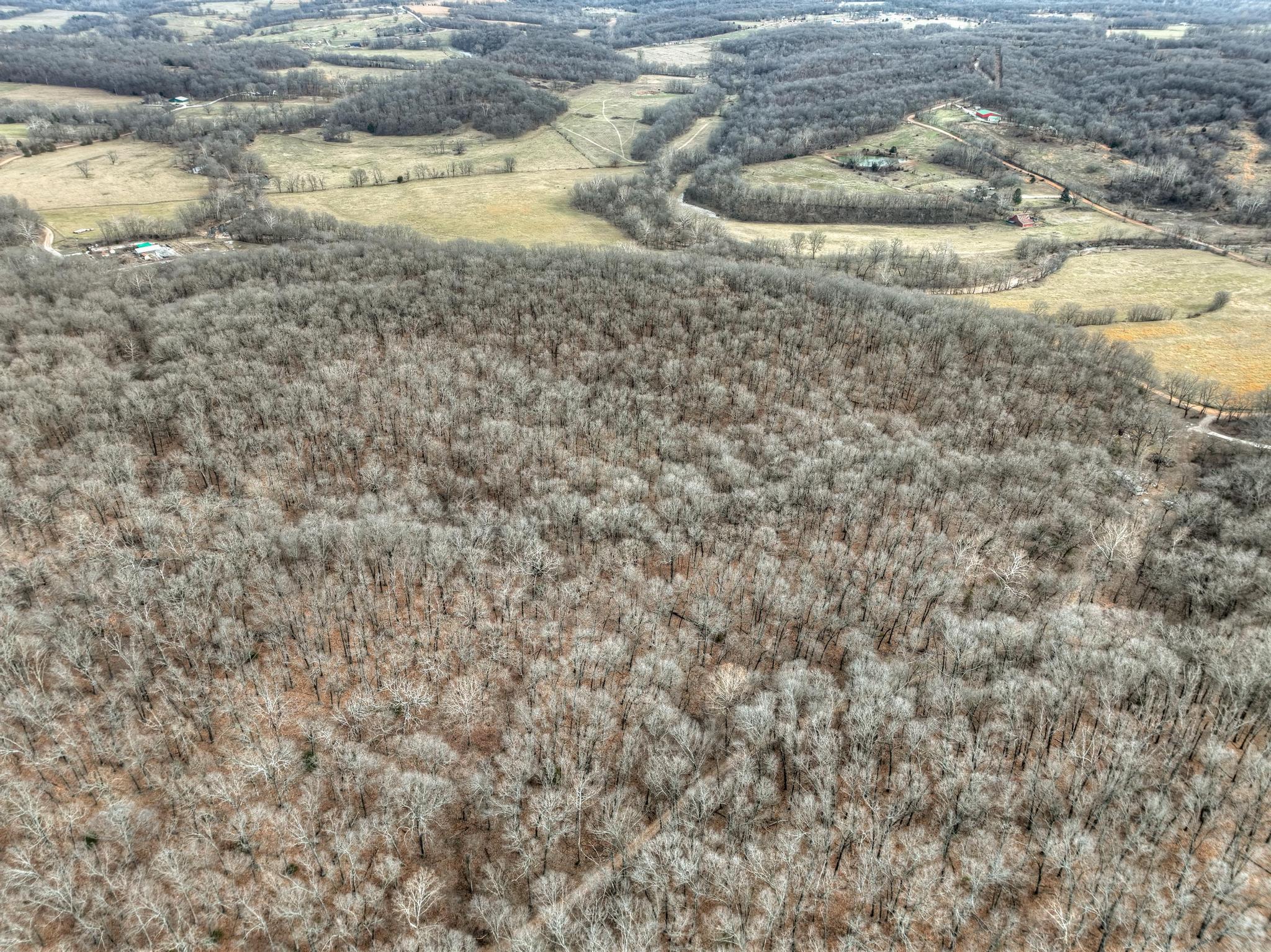 Photo 2 - Land for sale – 18284 1&B  Gazelle Drive  Neosho, MO