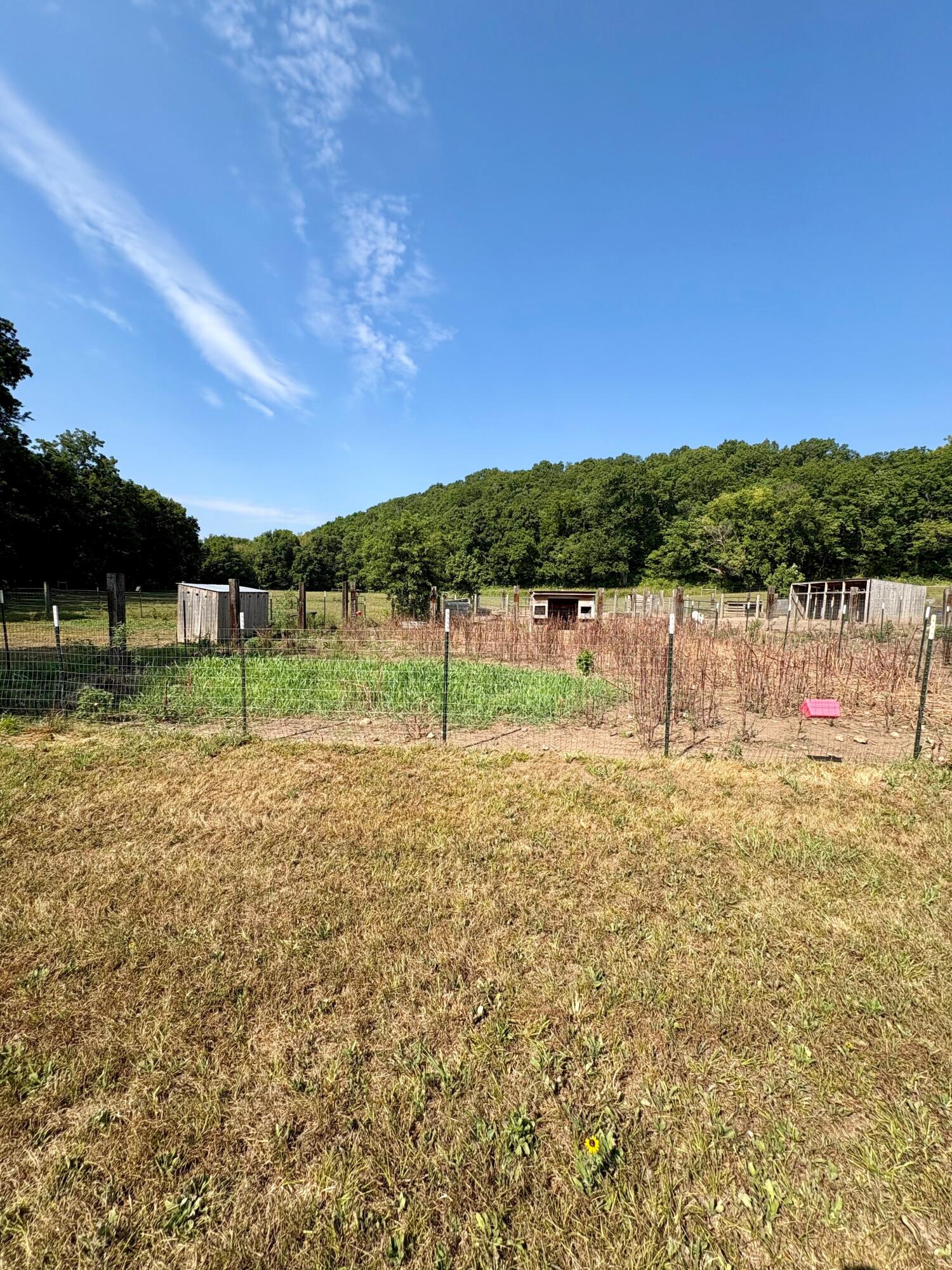 Photo 19 - Land for sale – 18284 1&B  Gazelle Drive  Neosho, MO