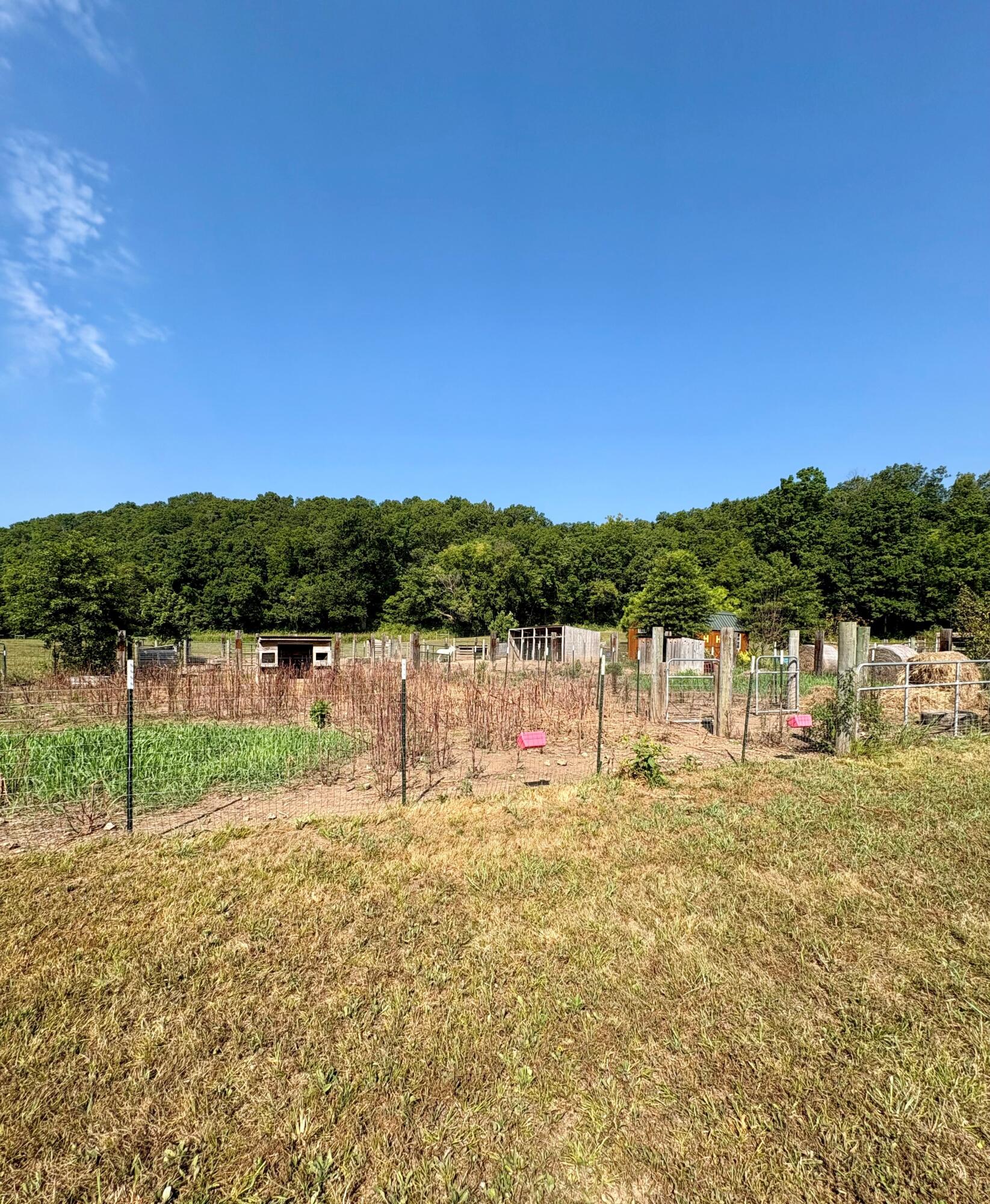 Photo 18 - Land for sale – 18284 1&B  Gazelle Drive  Neosho, MO