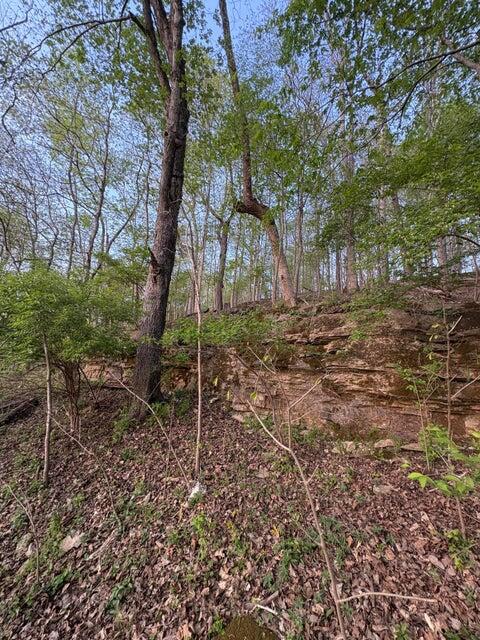 Photo 36 - Residential for sale – 139  Palasade Court  Forsyth, MO