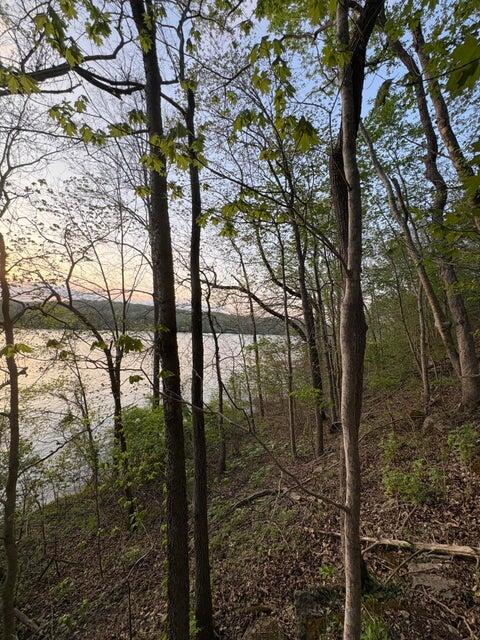 Photo 39 - Residential for sale – 139  Palasade Court  Forsyth, MO