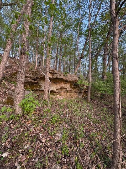 Photo 37 - Residential for sale – 139  Palasade Court  Forsyth, MO