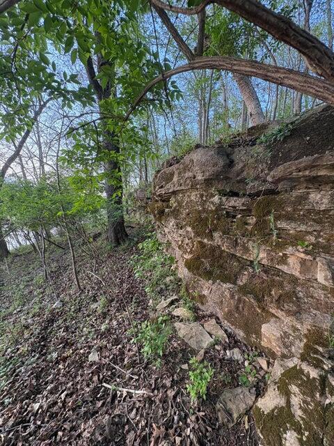 Photo 38 - Residential for sale – 139  Palasade Court  Forsyth, MO
