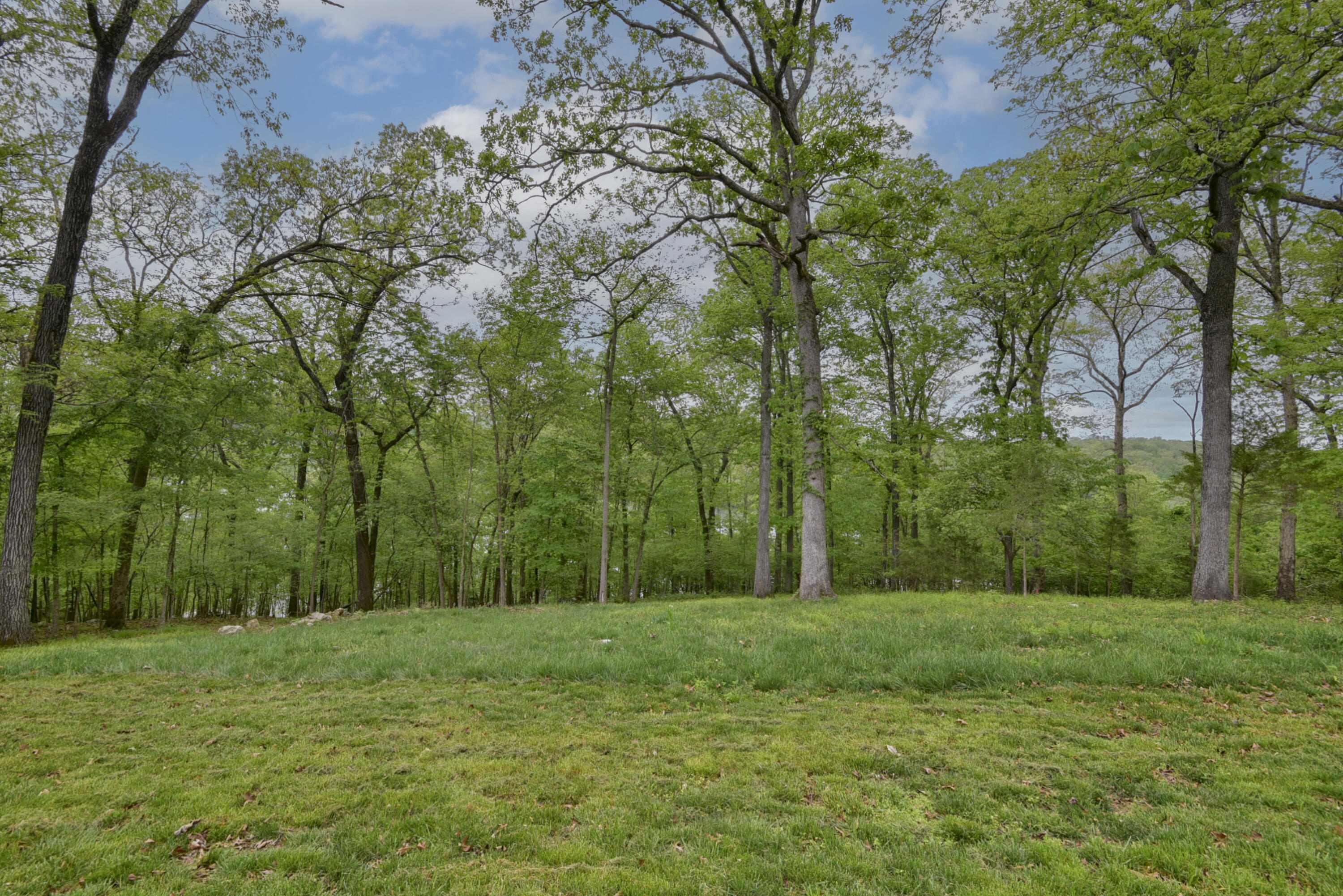 Photo 35 - Residential for sale – 139  Palasade Court  Forsyth, MO