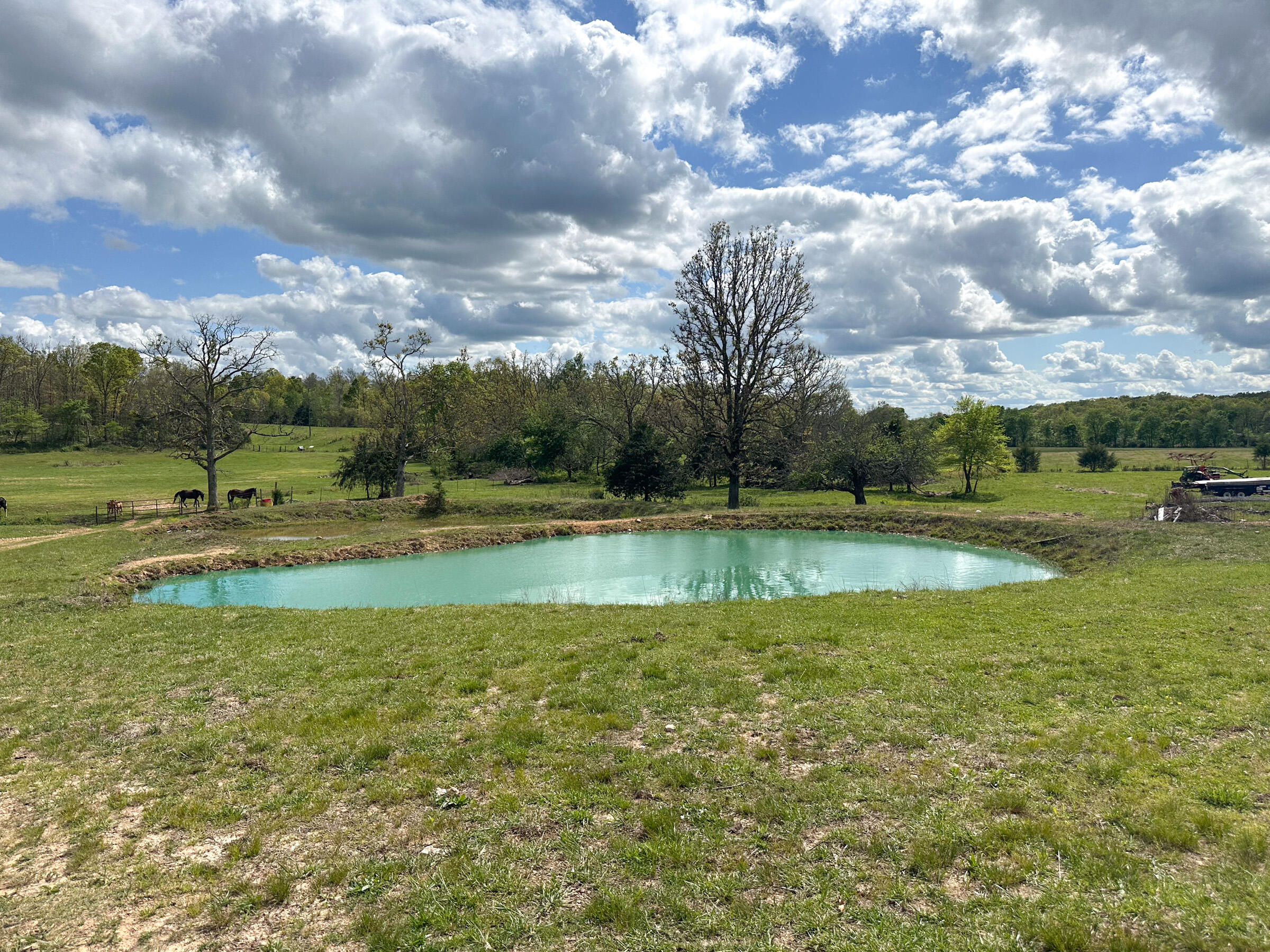 Photo 50 - Farm for sale – 4420  State Route Dd   Willow Springs, MO