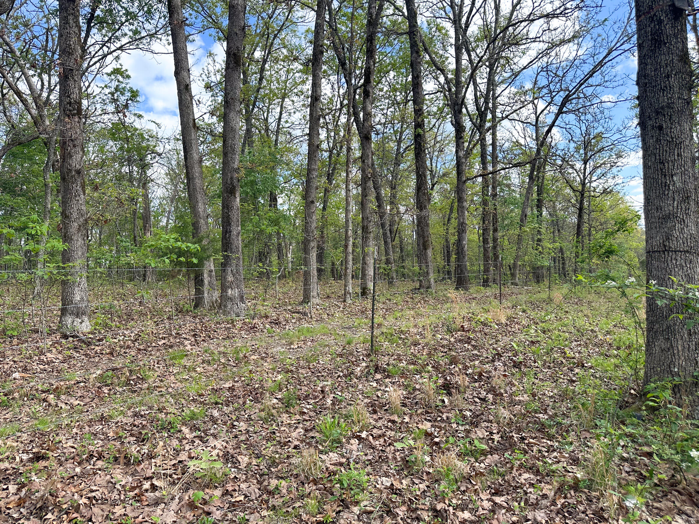 Photo 70 - Farm for sale – 4420  State Route Dd   Willow Springs, MO
