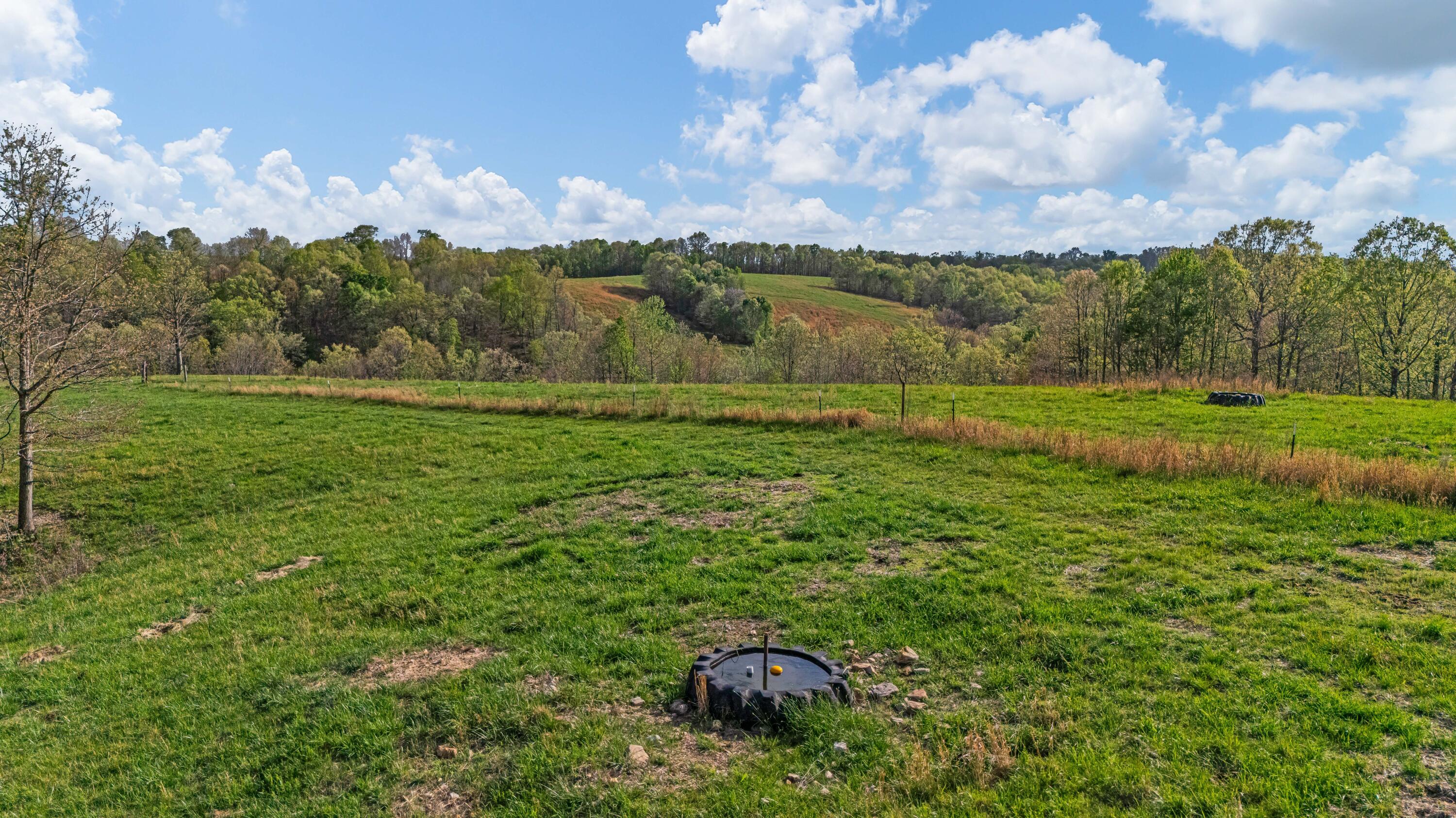 Photo 40 - Farm for sale – 550  County Road 1990   Willow Springs, MO