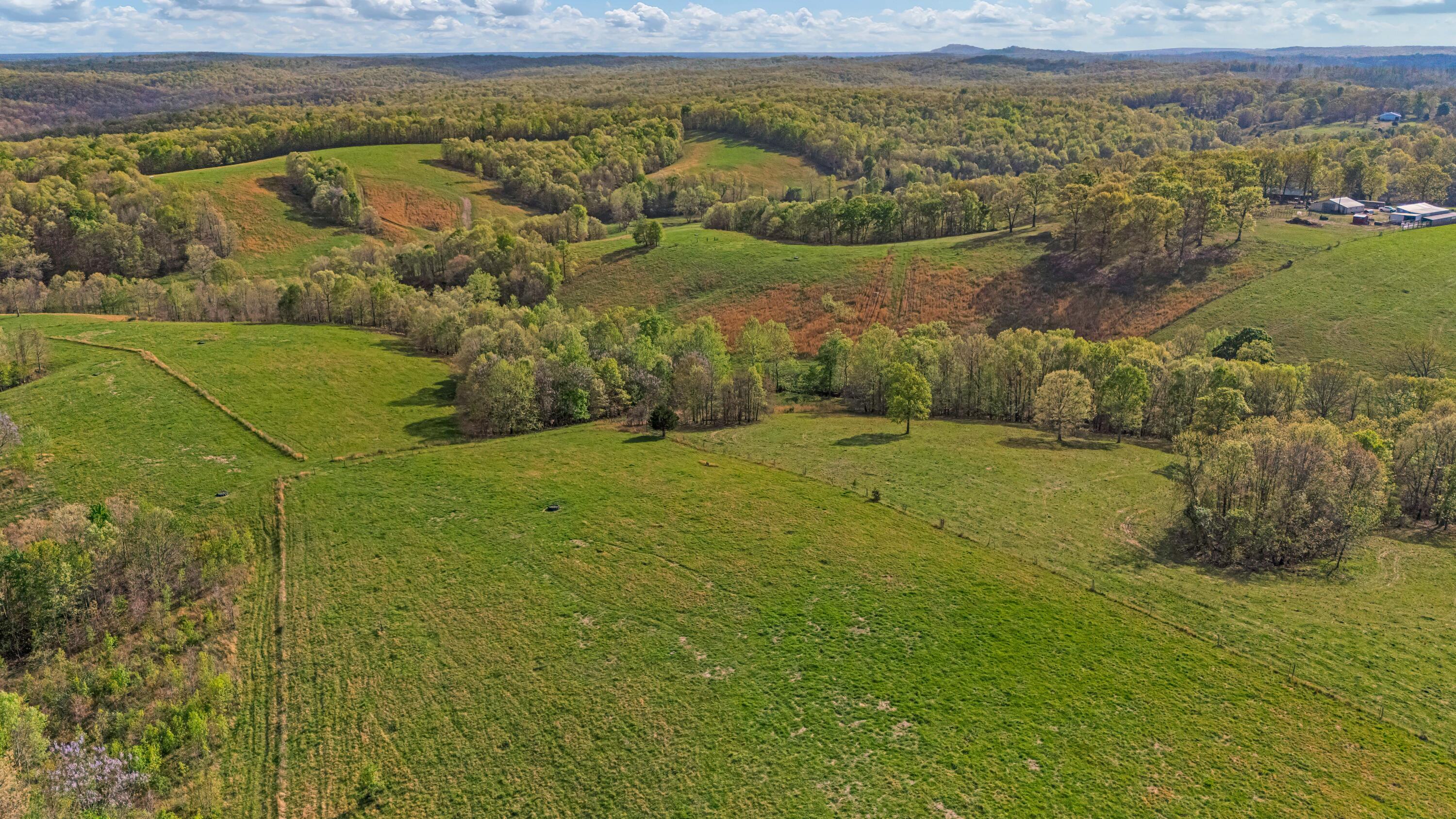 Photo 48 - Farm for sale – 550  County Road 1990   Willow Springs, MO