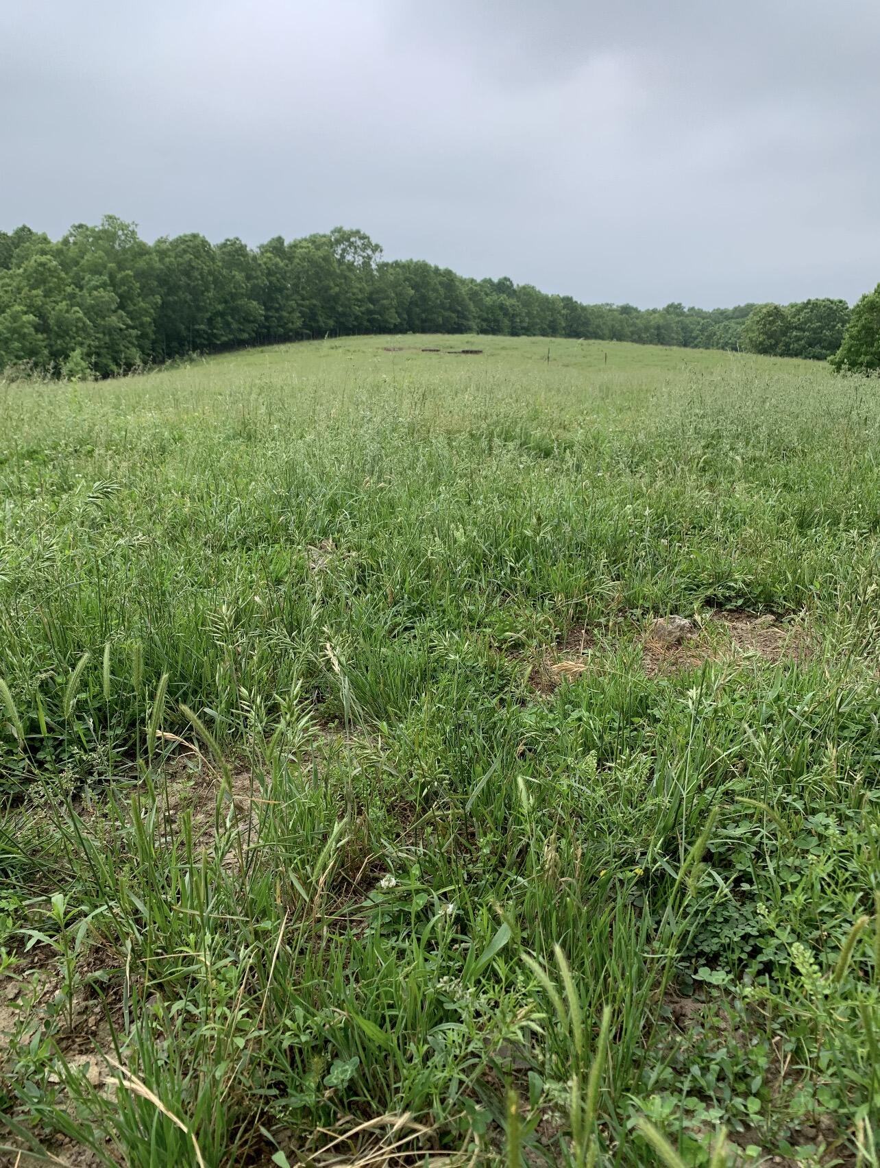 Photo 72 - Farm for sale – 550  County Road 1990   Willow Springs, MO