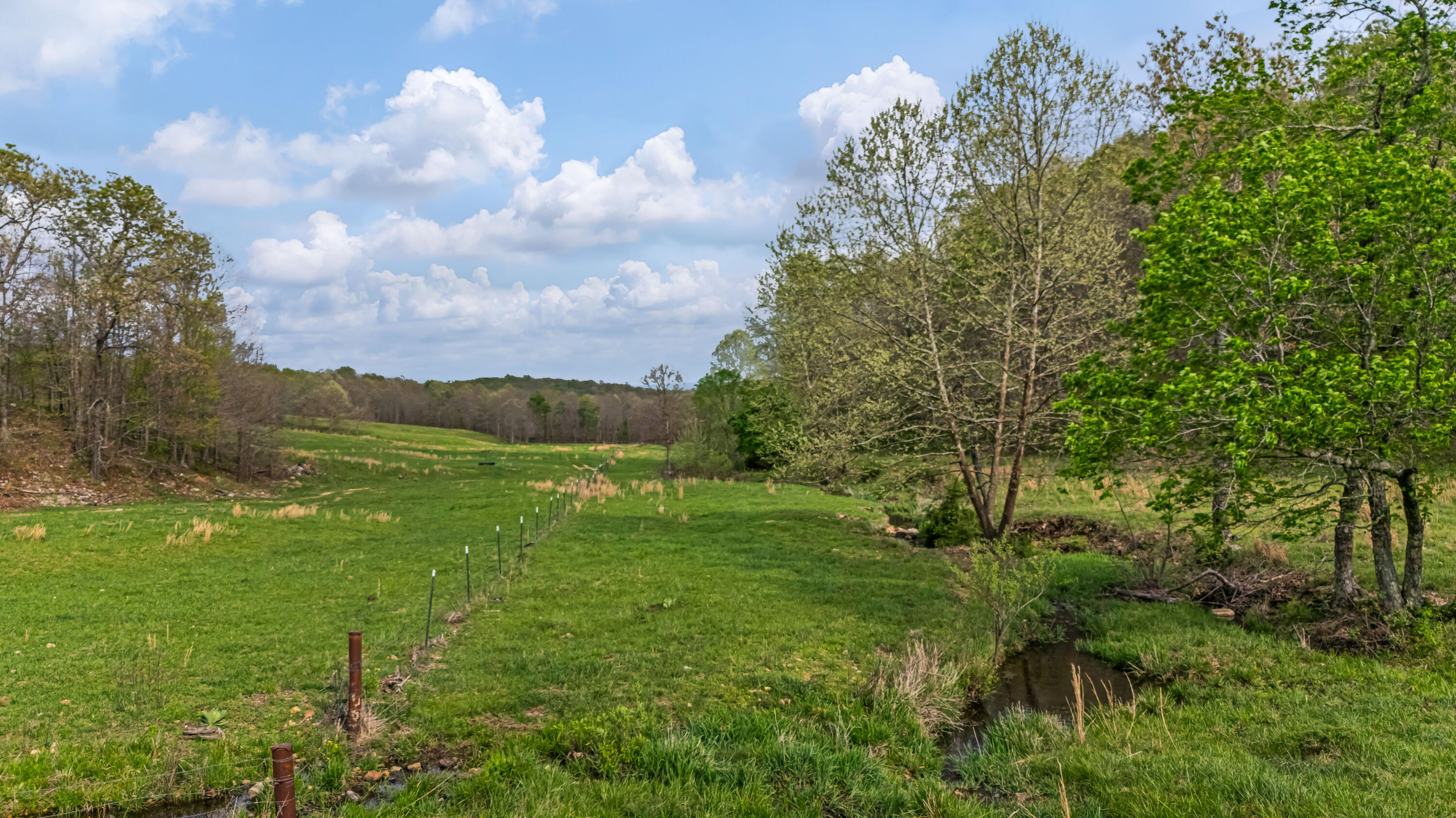 Photo 49 - Farm for sale – 550  County Road 1990   Willow Springs, MO