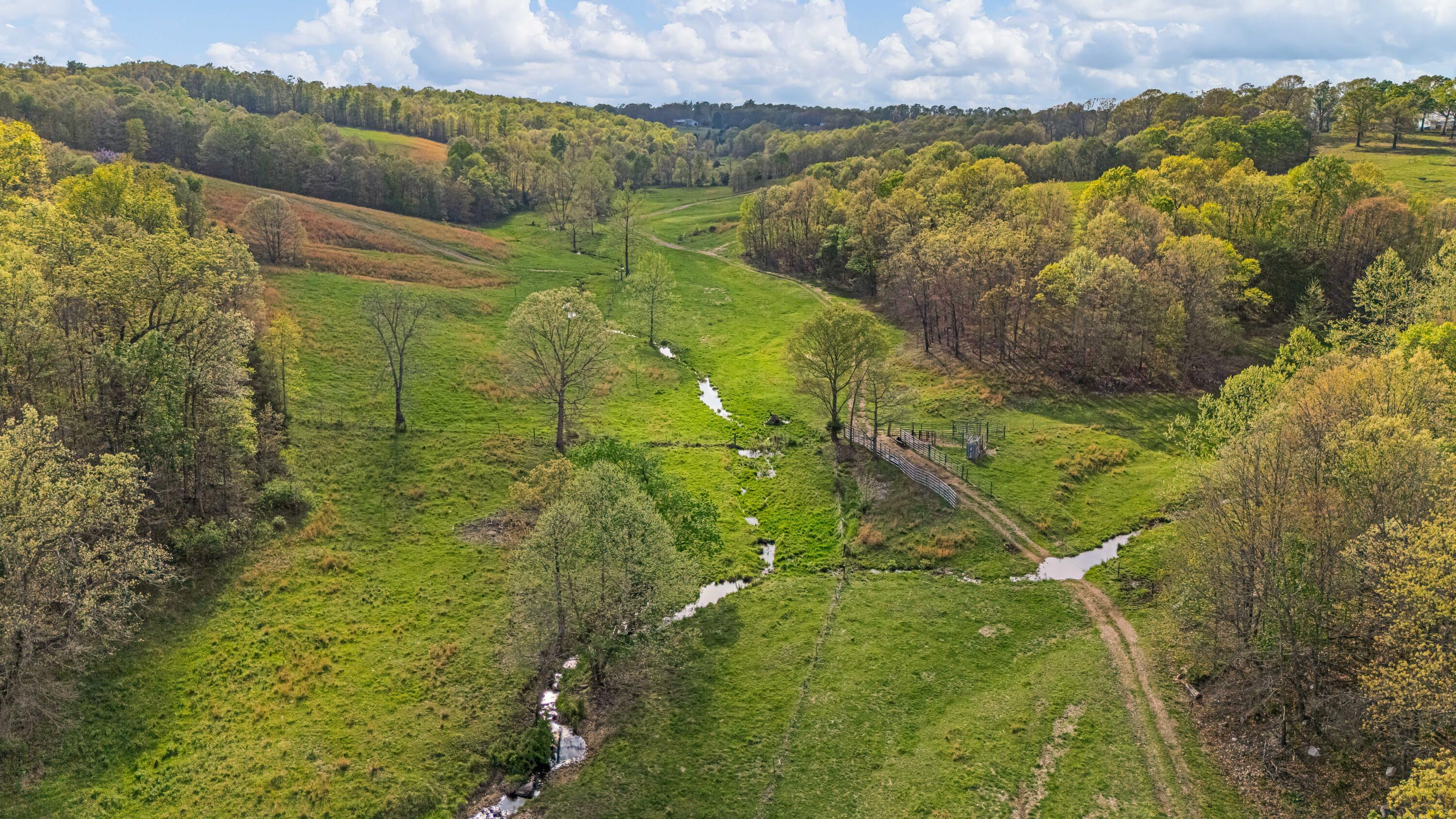 Photo 38 - Farm for sale – 550  County Road 1990   Willow Springs, MO