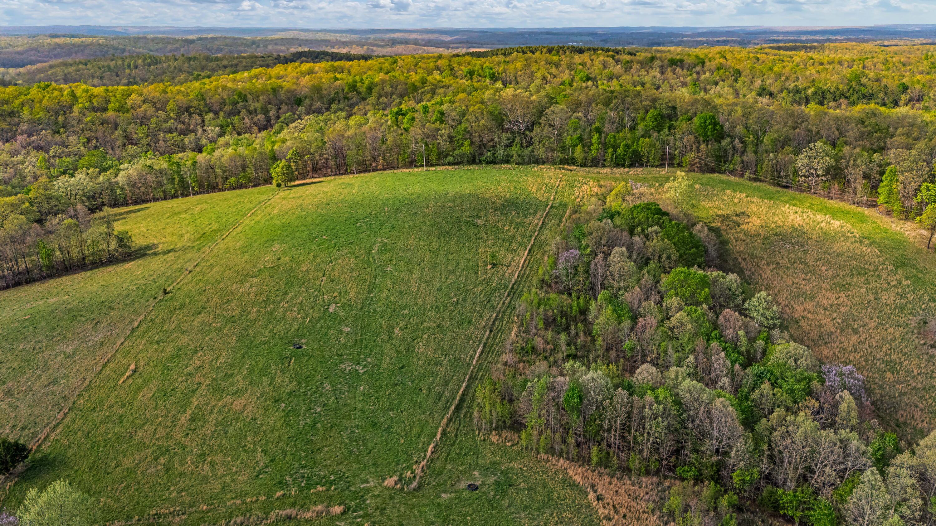Photo 54 - Farm for sale – 550  County Road 1990   Willow Springs, MO