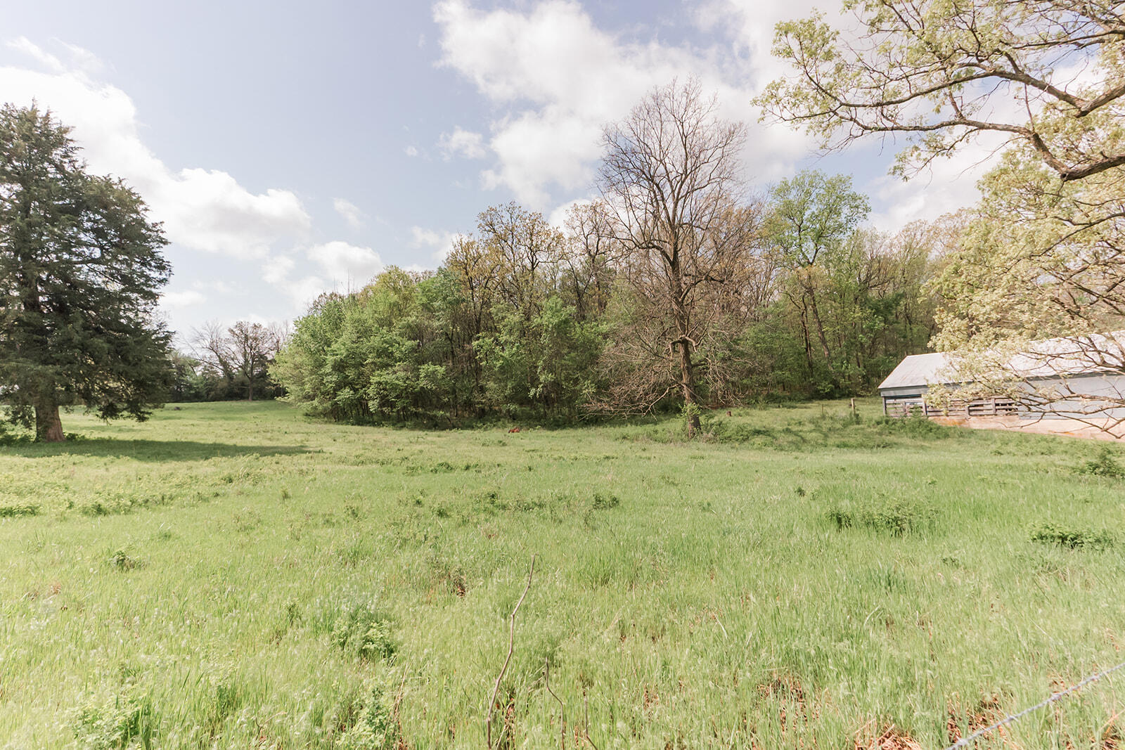 Photo 44 - Residential for sale – 5423 S 226th Road  Pleasant Hope, MO