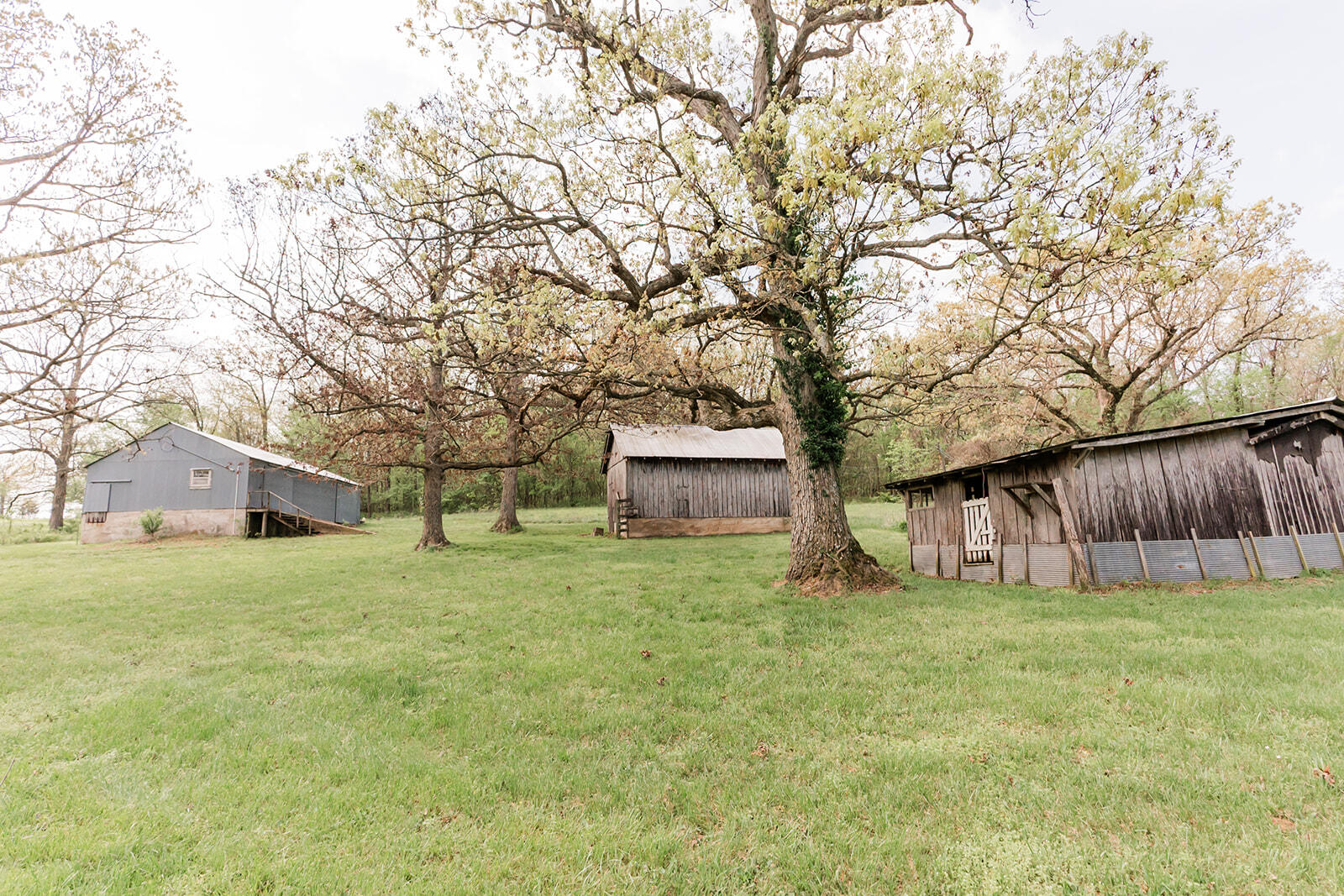 Photo 39 - Farm for sale – 5423 S 226th Road  Pleasant Hope, MO