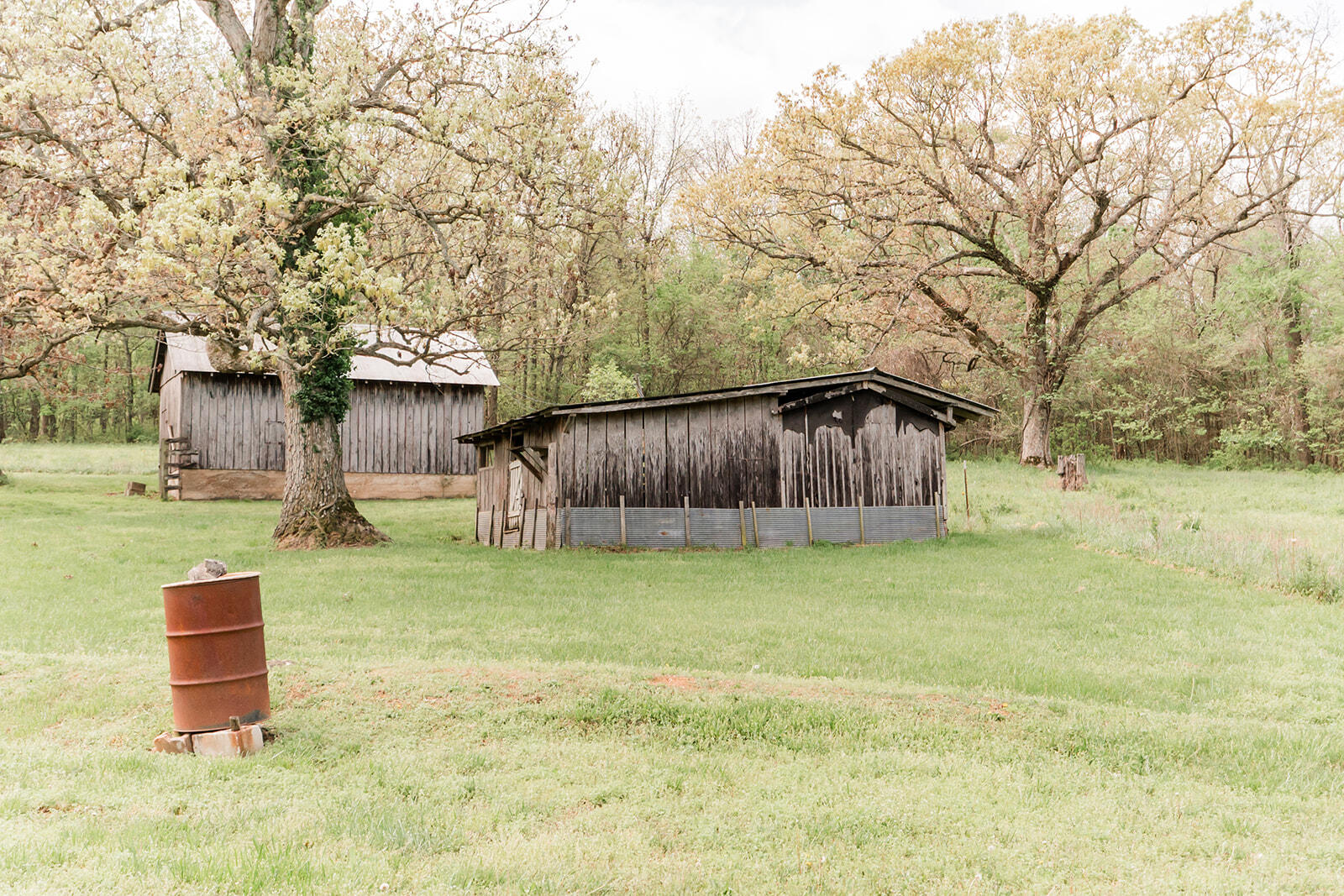 Photo 38 - Farm for sale – 5423 S 226th Road  Pleasant Hope, MO