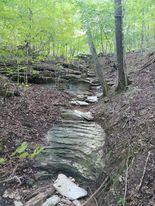 Photo 9 - Residential for sale – 311  Tipton Mountain Road  Reeds Spring, MO